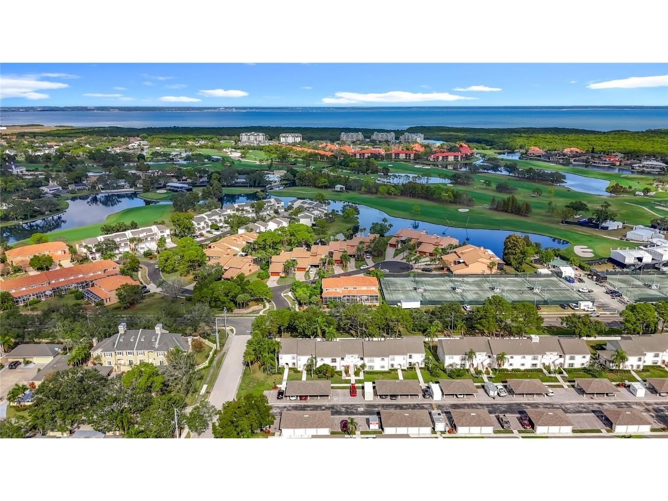 2497 Heron Terrace #203C Clearwater FL 33762 TB8451214 image5