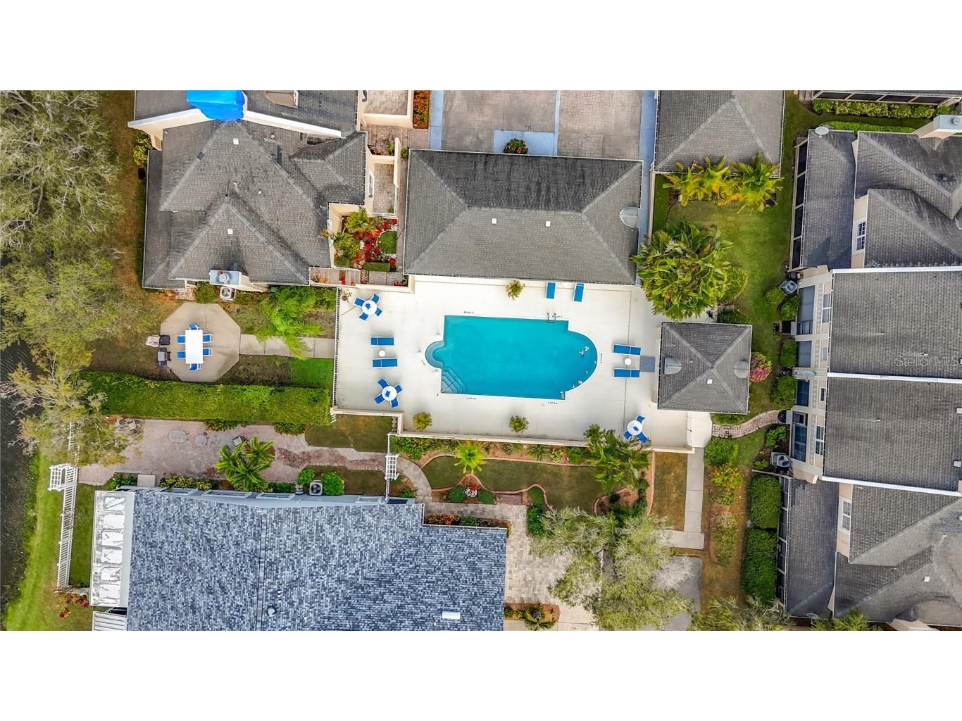 2497 Heron Terrace #203C Clearwater FL 33762 TB8451214 image77