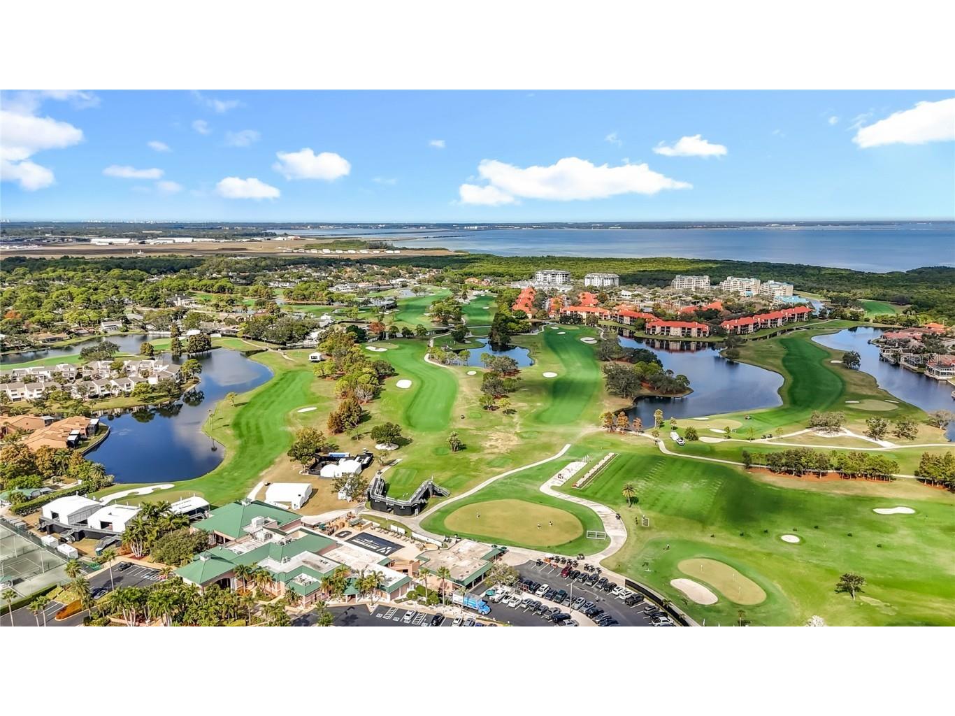 2497 Heron Terrace #203C Clearwater FL 33762 TB8451214 image82