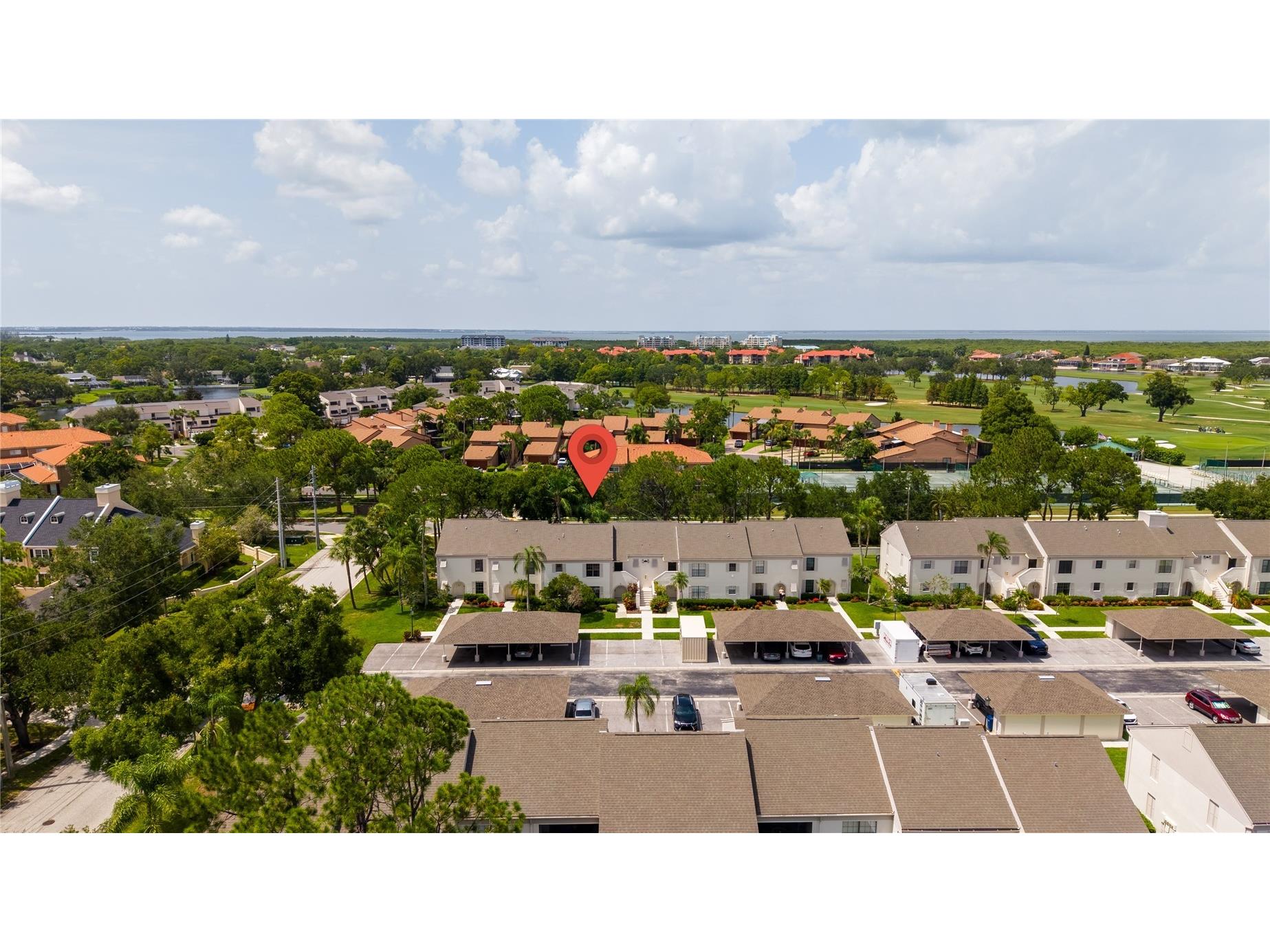 2497 Heron Terrace #203C Clearwater FL 33762 TB8529459 image28