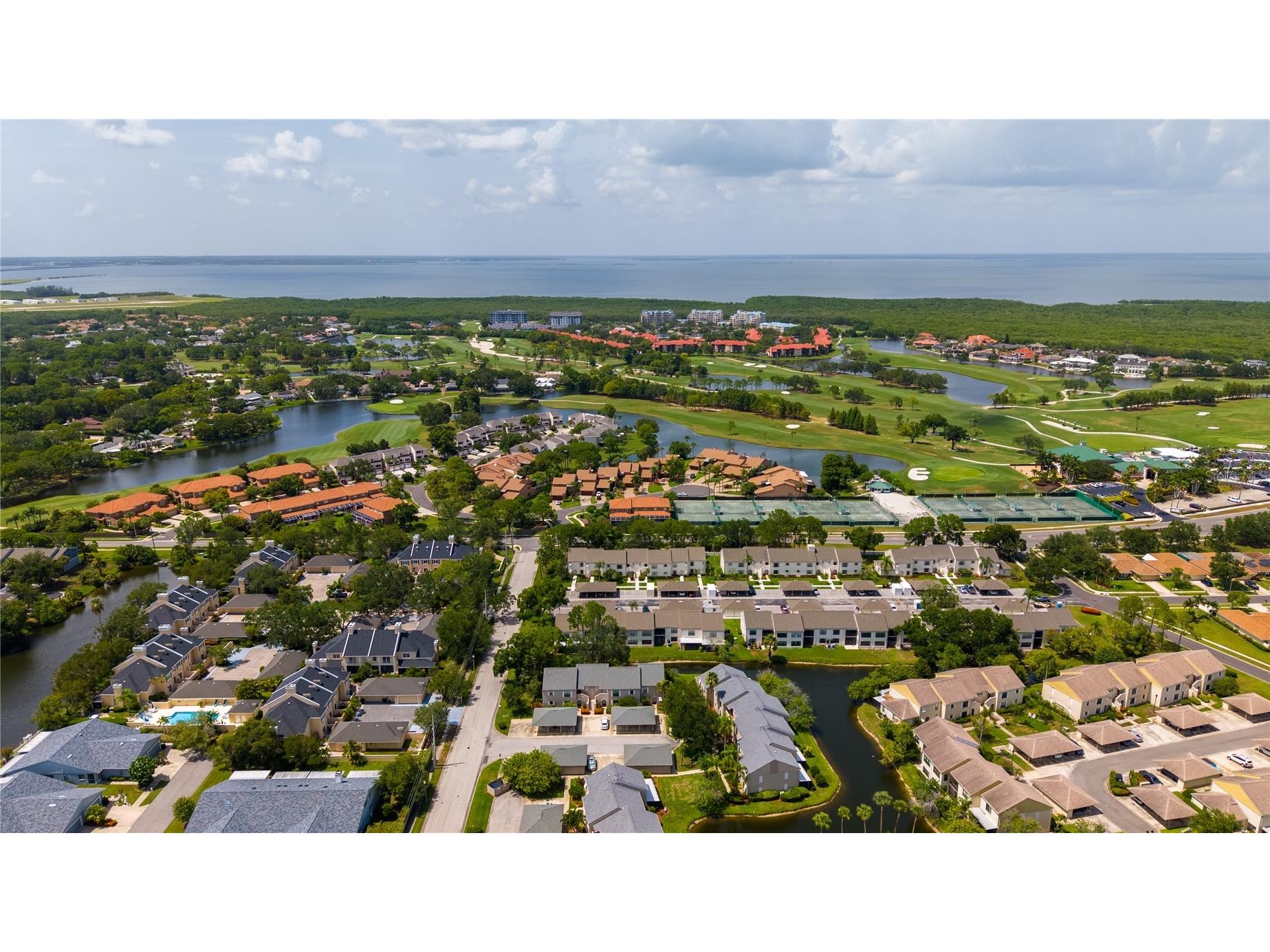 2497 Heron Terrace #203C Clearwater FL 33762 TB8529459 image34