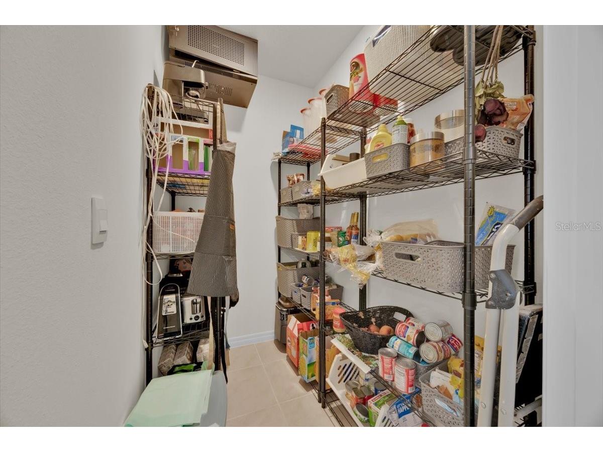 2497 Ribbon Fall Avenue Davenport FL 33837 O6341626 image13