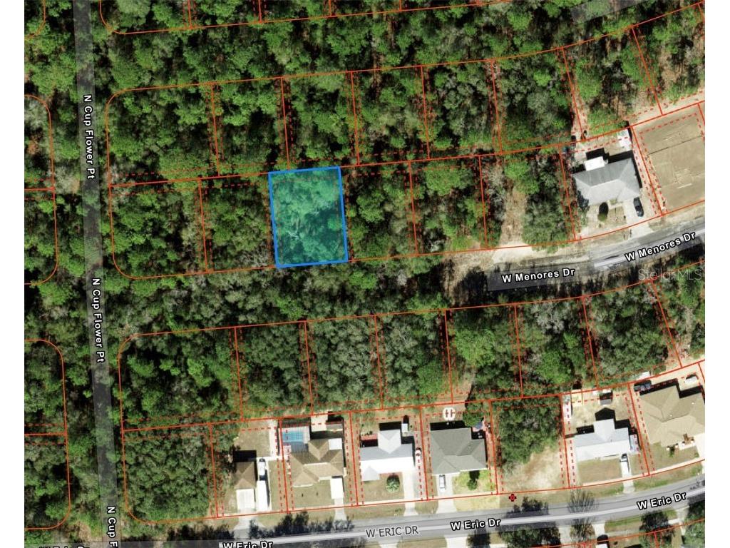 2497 W Menores Drive Citrus Springs FL 34434 O6341988 image1