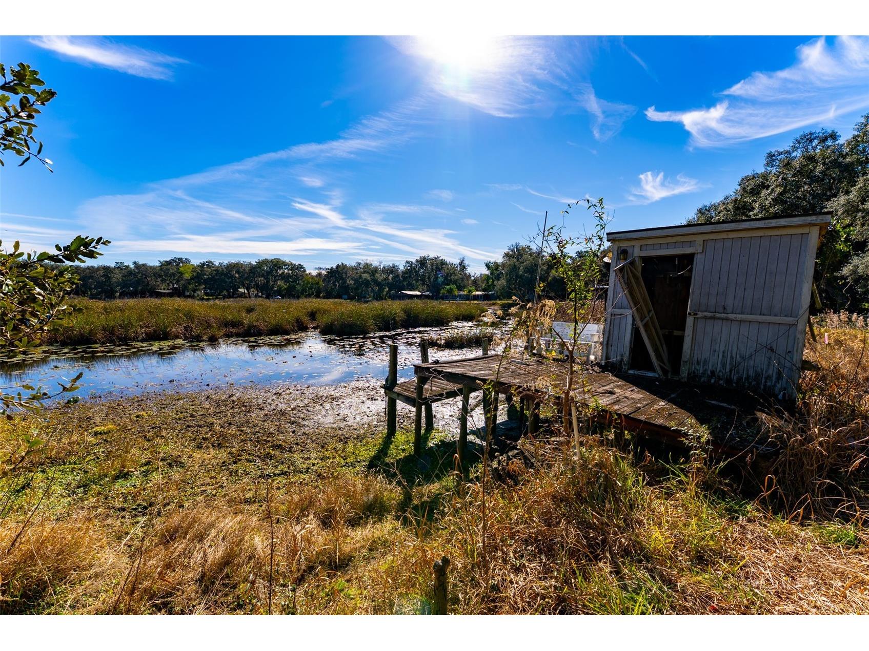 24971 NE 135th Street Salt Springs FL 32134 OM716655 image1