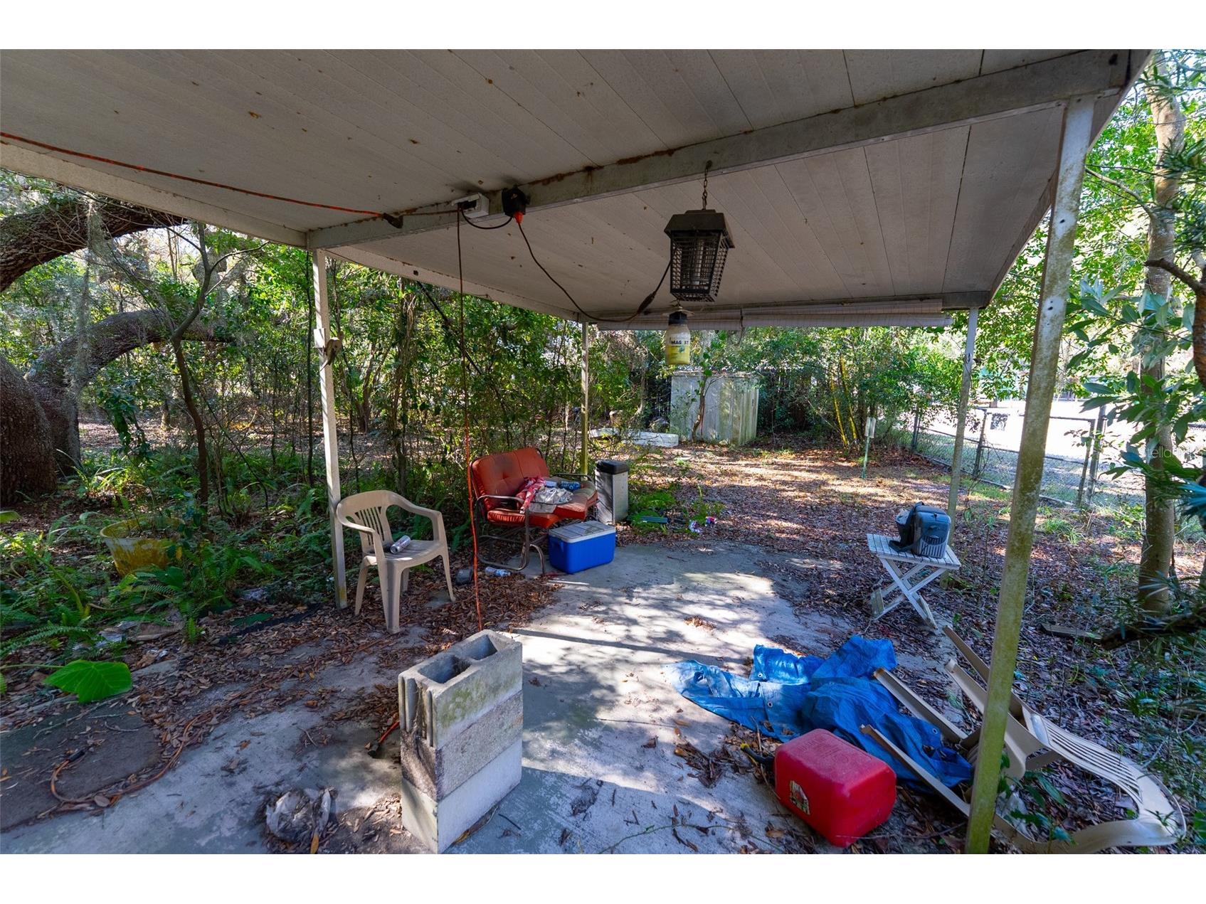 24971 NE 135th Street Salt Springs FL 32134 OM716655 image10