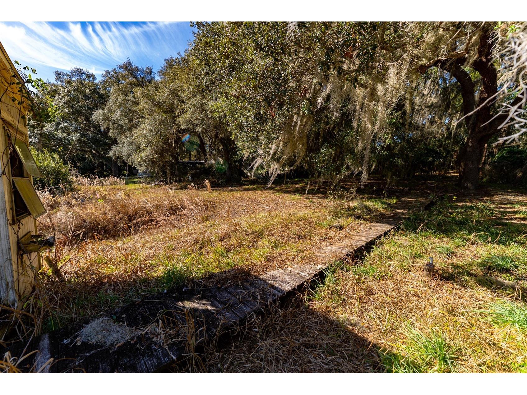 24971 NE 135th Street Salt Springs FL 32134 OM716655 image12
