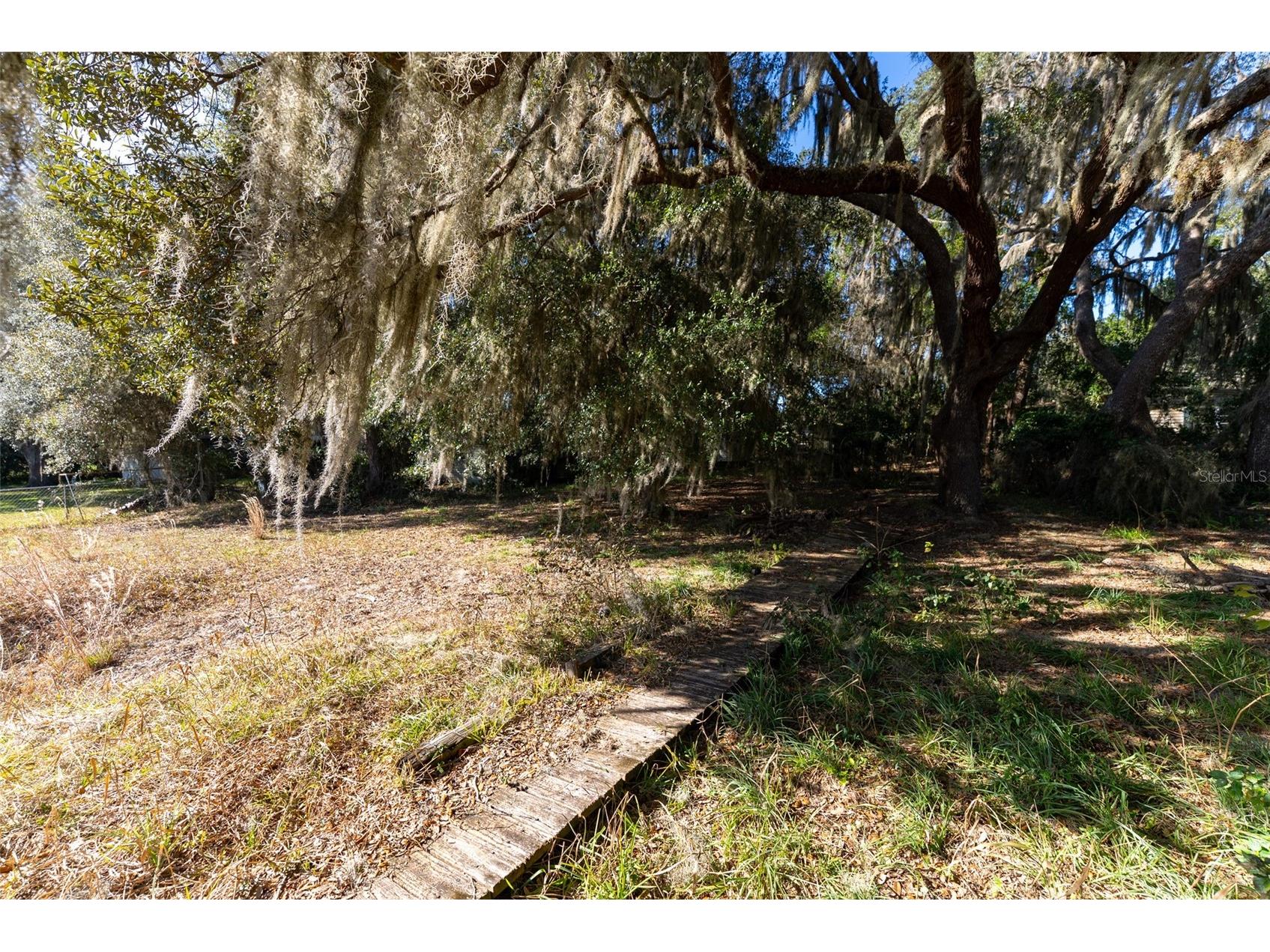 24971 NE 135th Street Salt Springs FL 32134 OM716655 image13