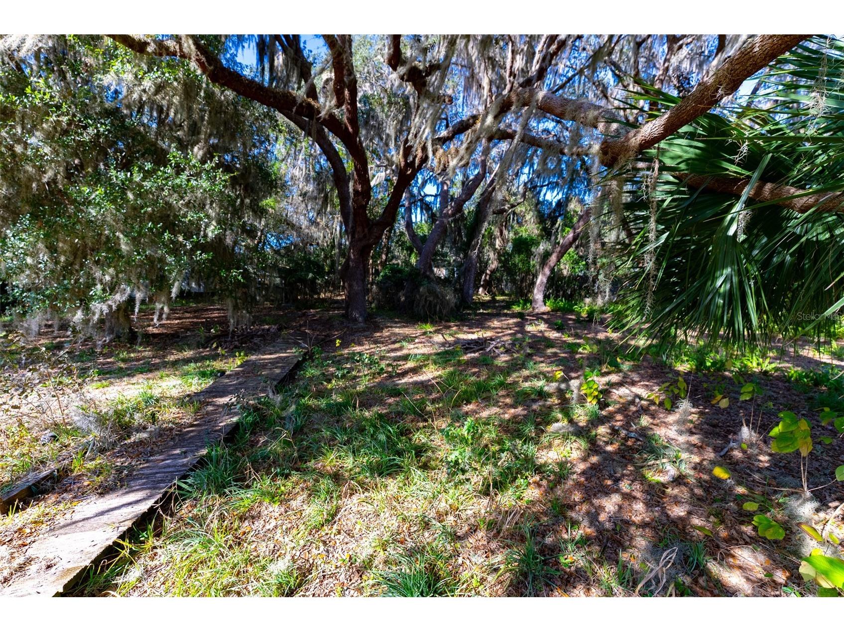 24971 NE 135th Street Salt Springs FL 32134 OM716655 image14