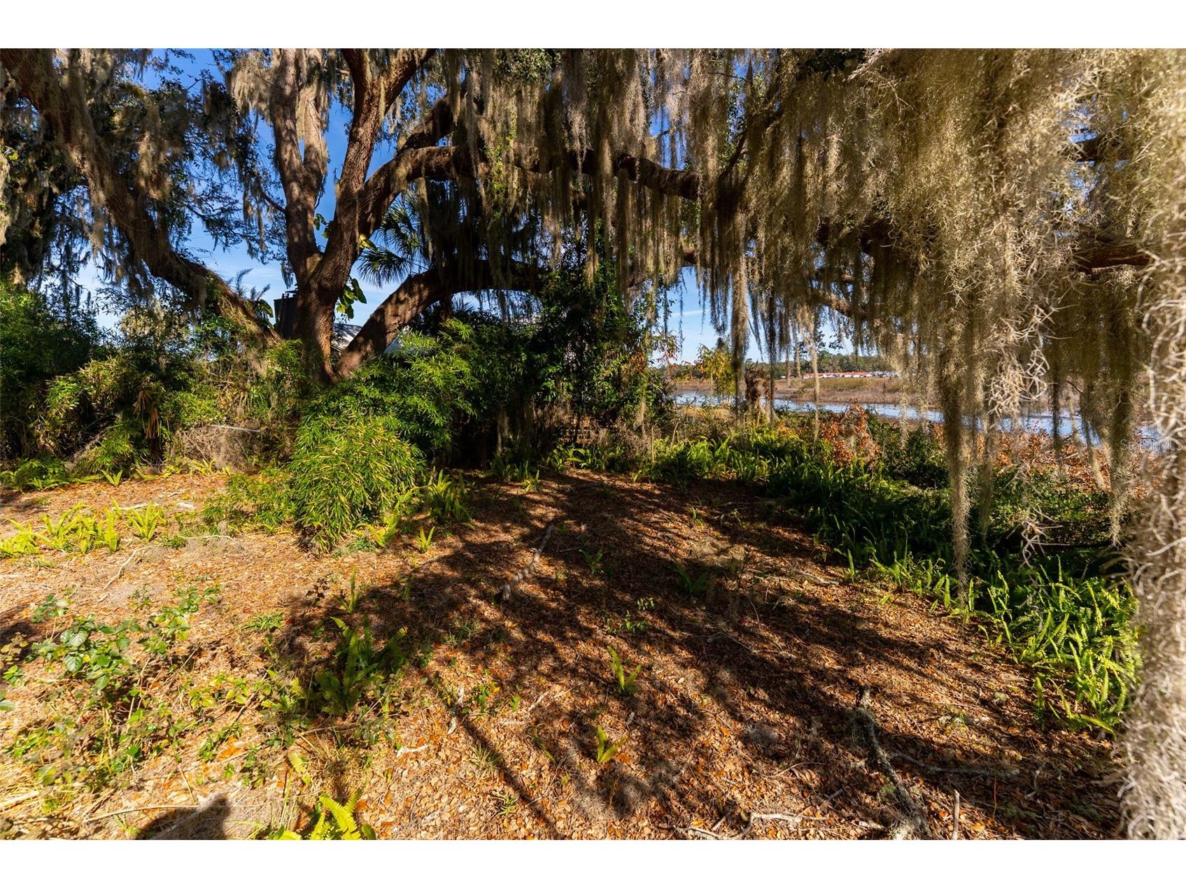 24971 NE 135th Street Salt Springs FL 32134 OM716655 image15