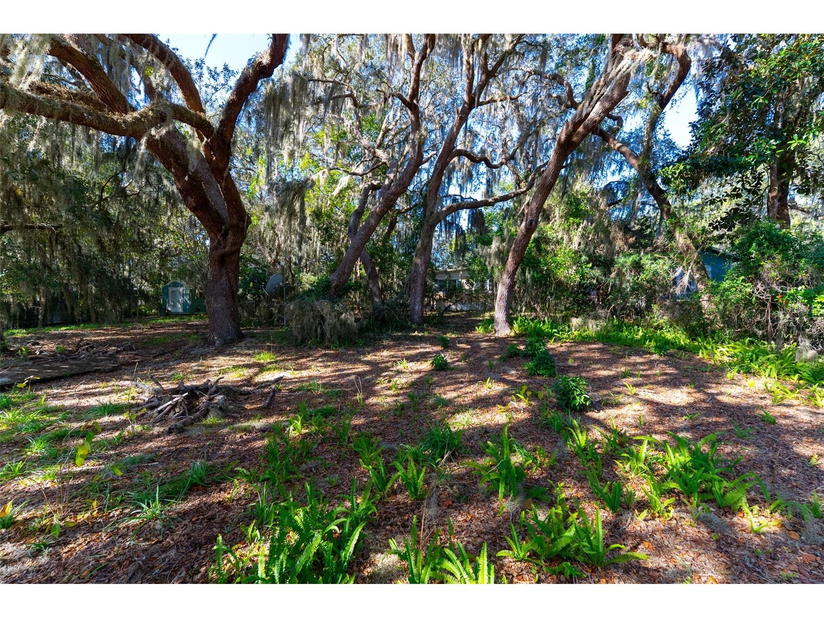 24971 NE 135th Street Salt Springs FL 32134 OM716655 image17