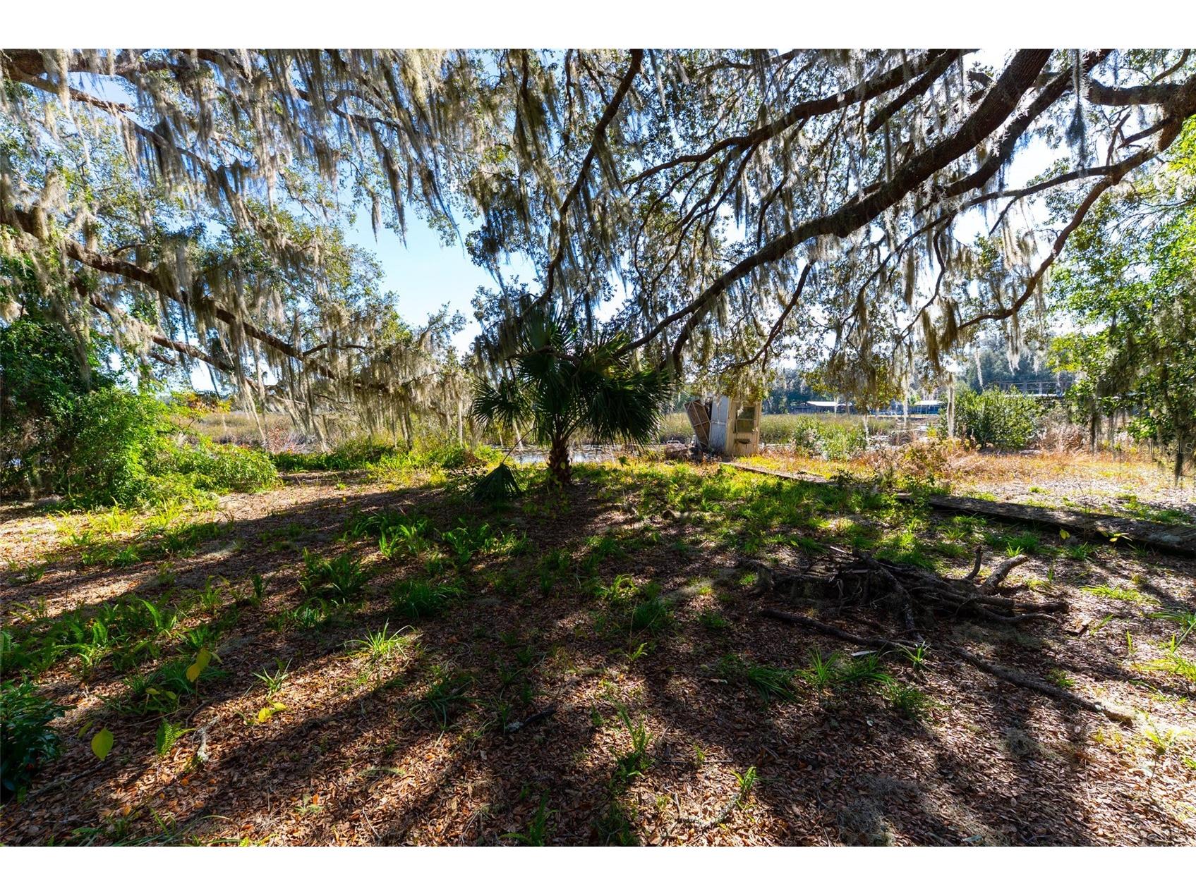 24971 NE 135th Street Salt Springs FL 32134 OM716655 image19