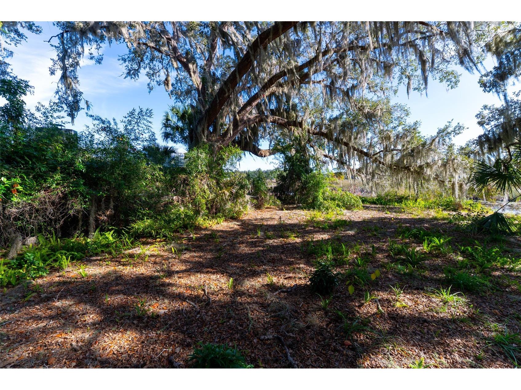 24971 NE 135th Street Salt Springs FL 32134 OM716655 image20