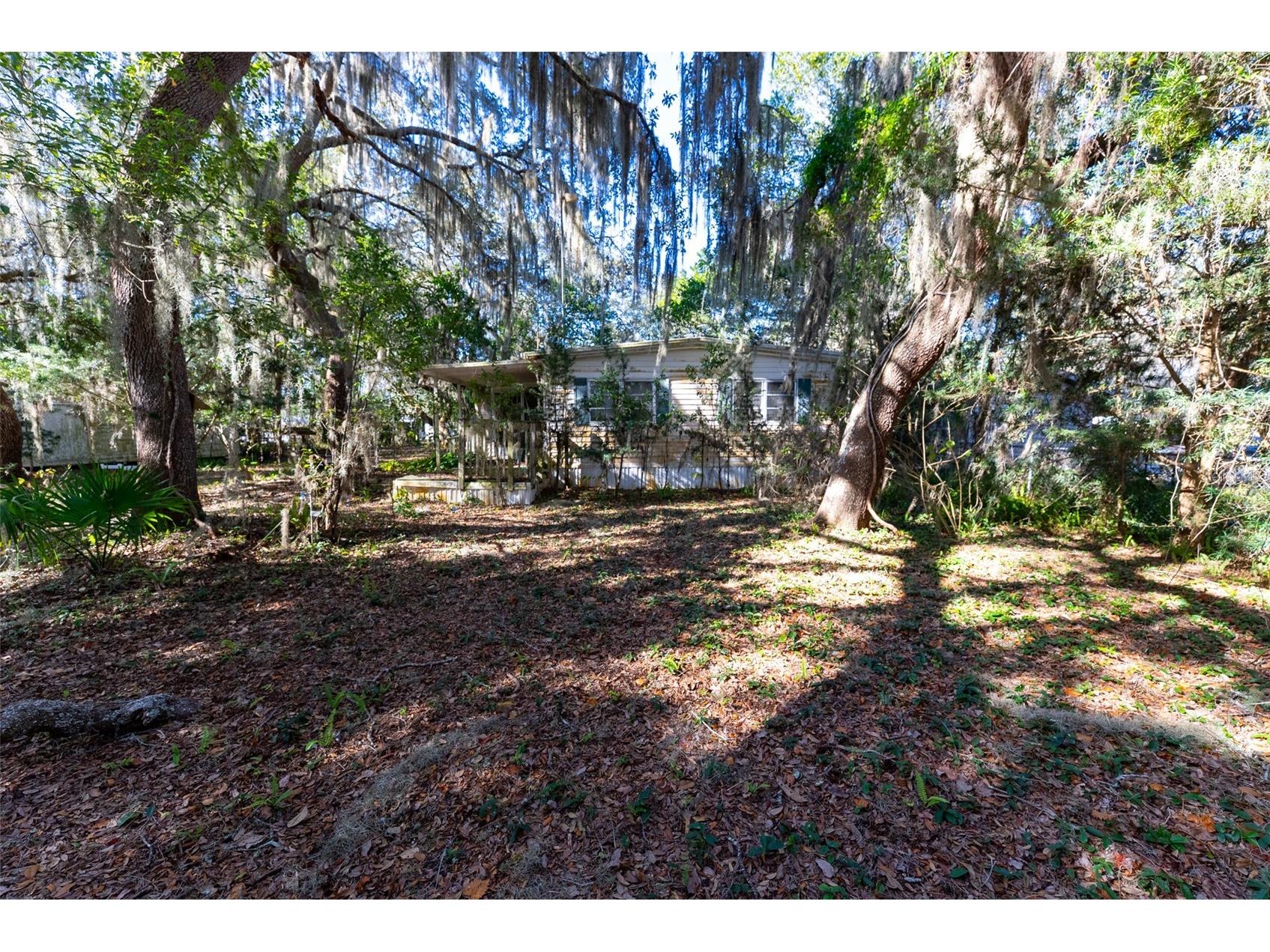 24971 NE 135th Street Salt Springs FL 32134 OM716655 image21