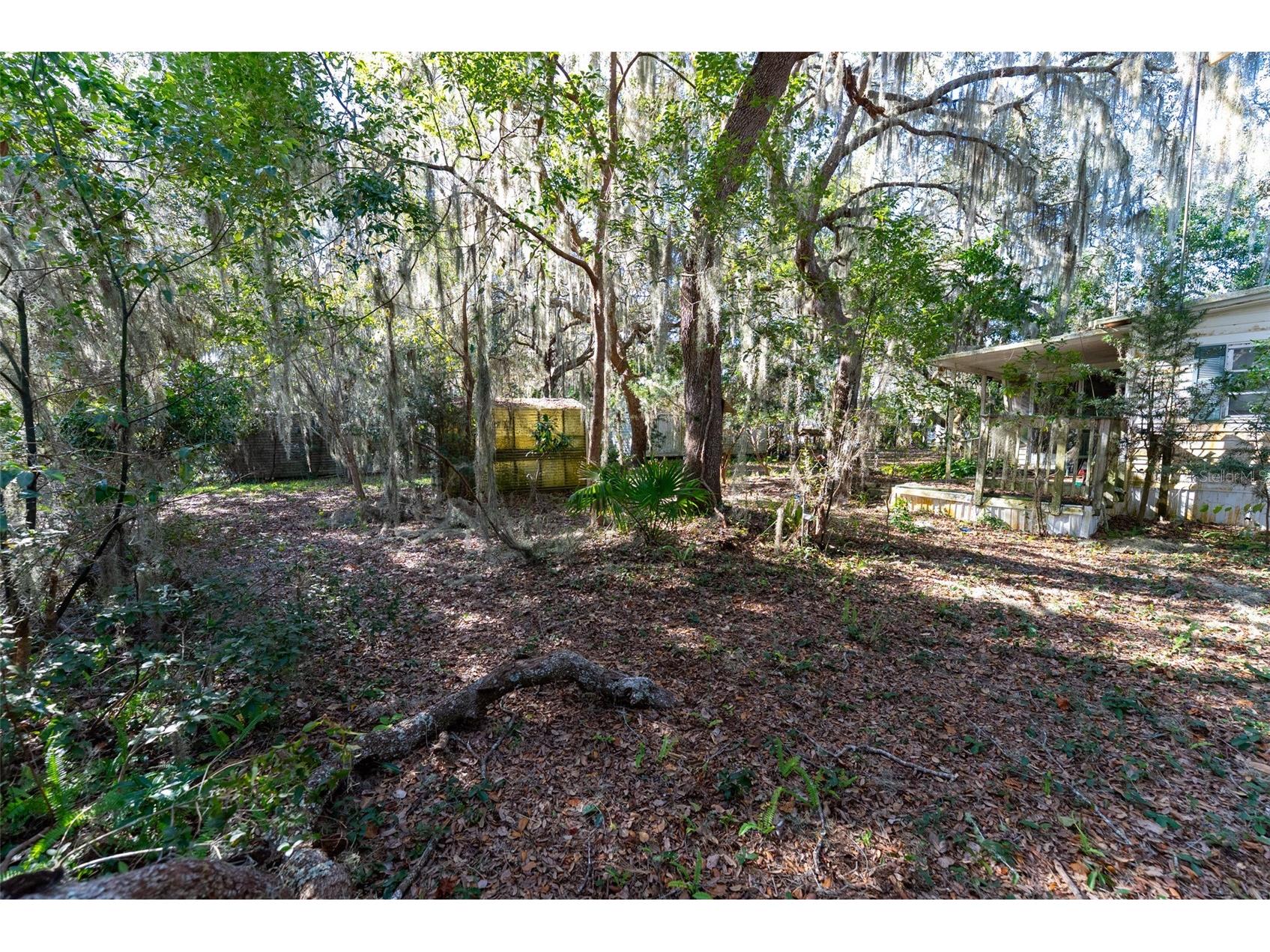 24971 NE 135th Street Salt Springs FL 32134 OM716655 image22