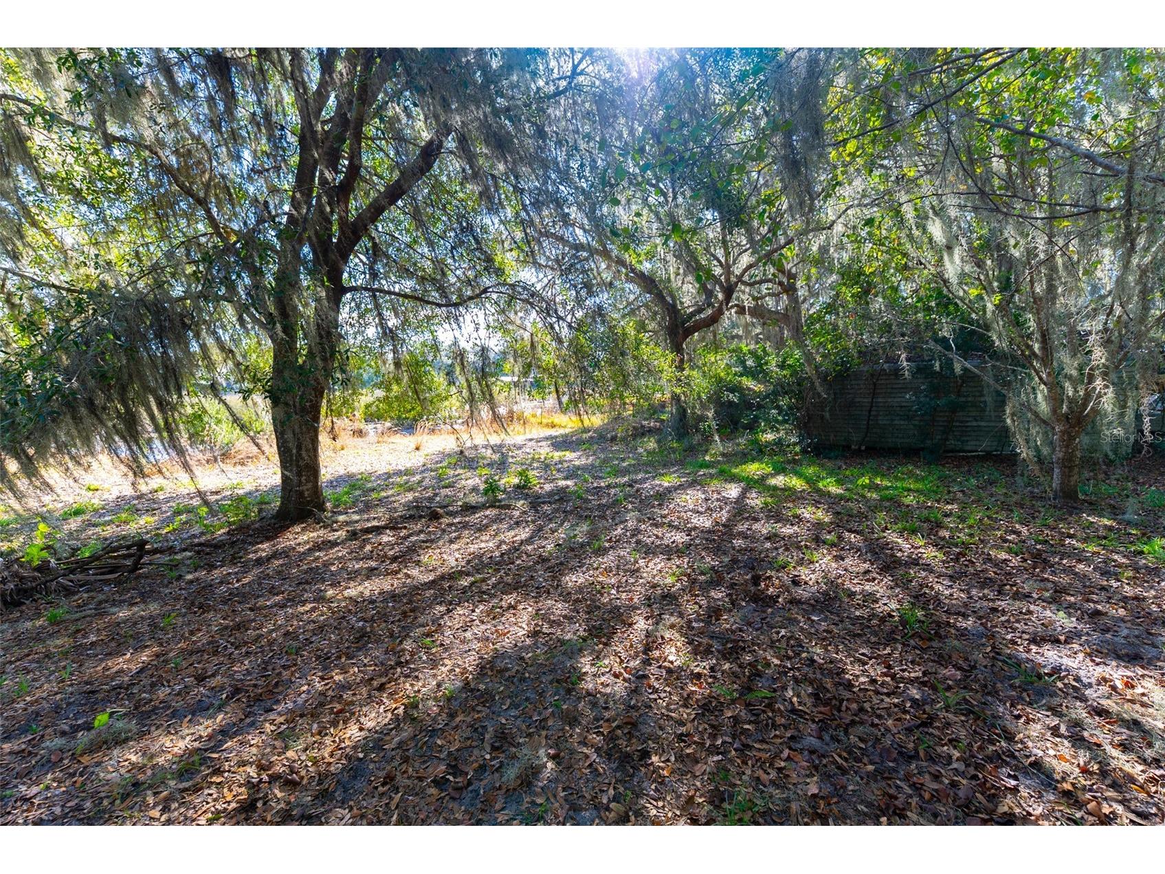 24971 NE 135th Street Salt Springs FL 32134 OM716655 image23