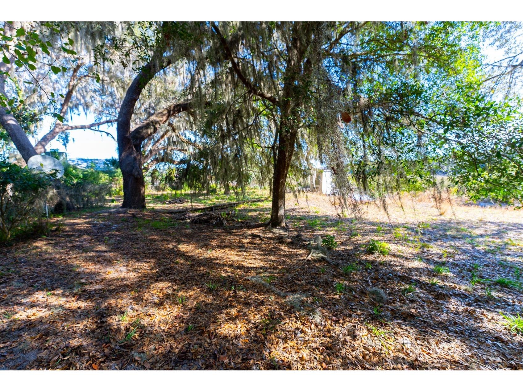 24971 NE 135th Street Salt Springs FL 32134 OM716655 image24