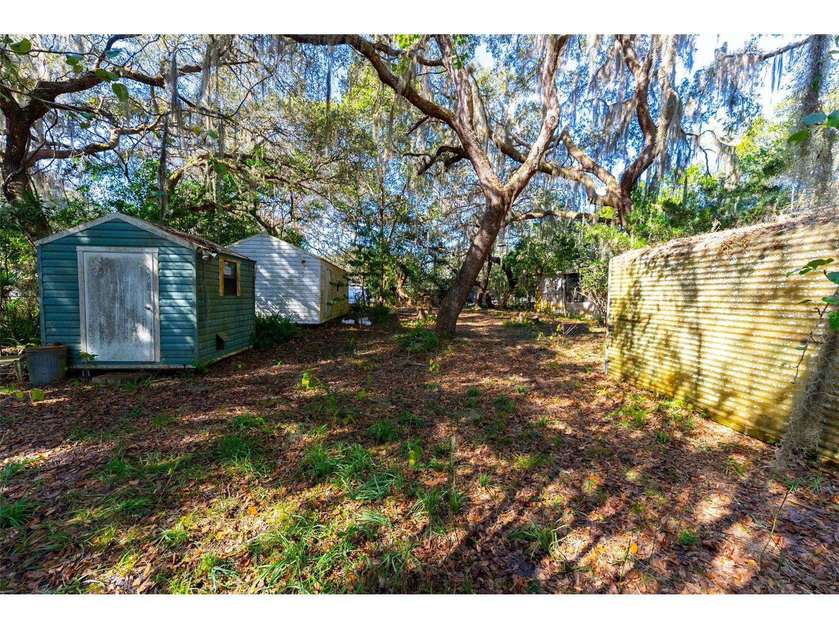 24971 NE 135th Street Salt Springs FL 32134 OM716655 image25
