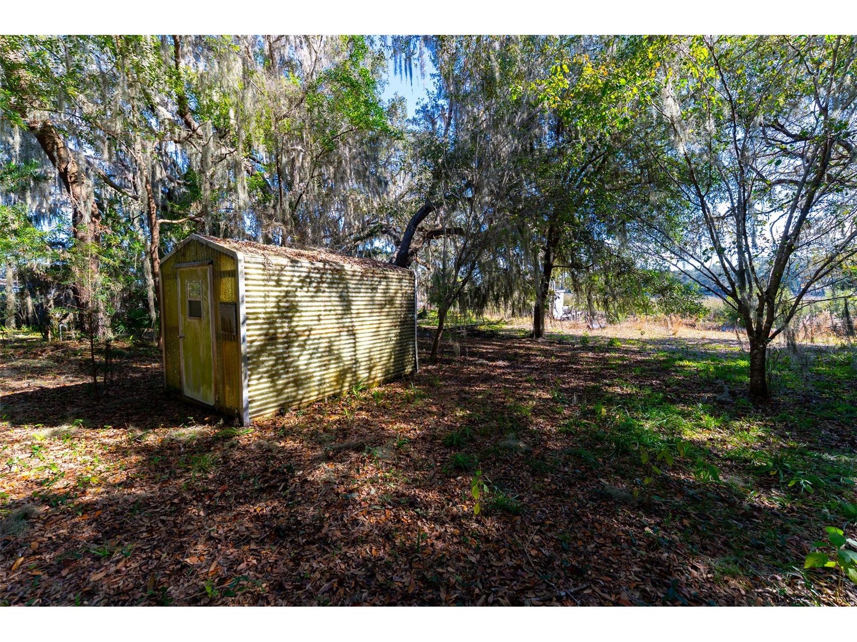 24971 NE 135th Street Salt Springs FL 32134 OM716655 image28