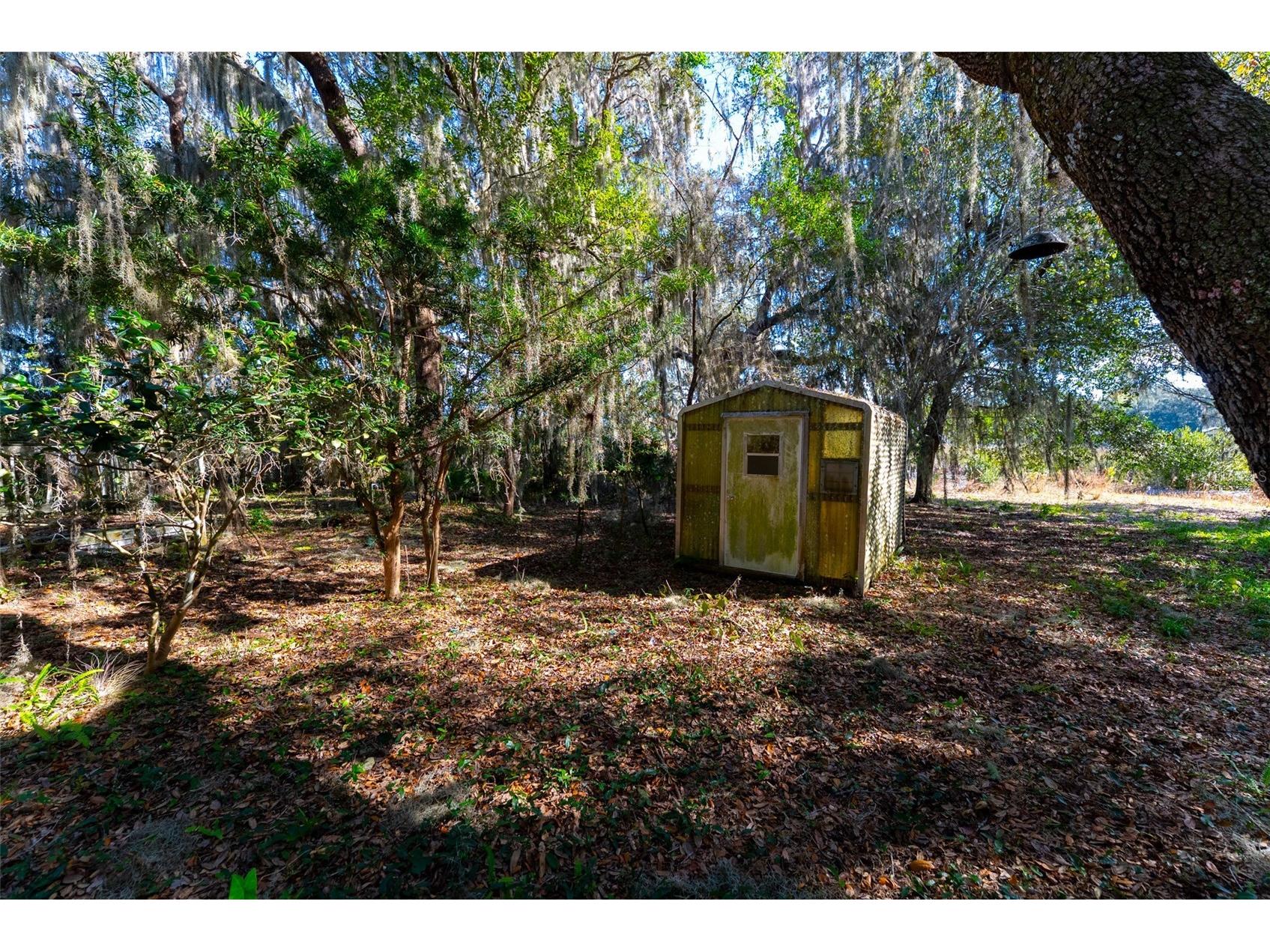 24971 NE 135th Street Salt Springs FL 32134 OM716655 image30