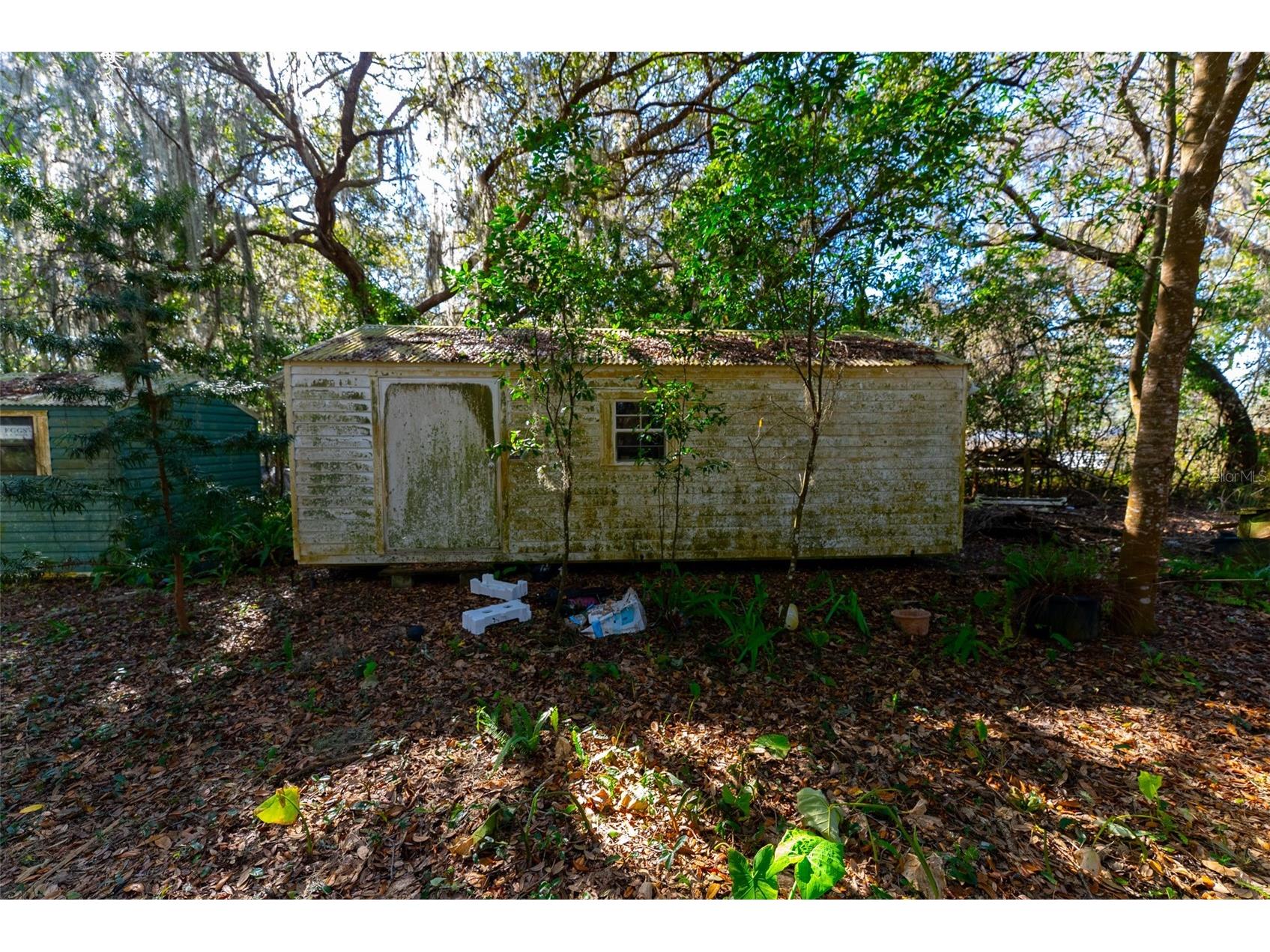 24971 NE 135th Street Salt Springs FL 32134 OM716655 image31