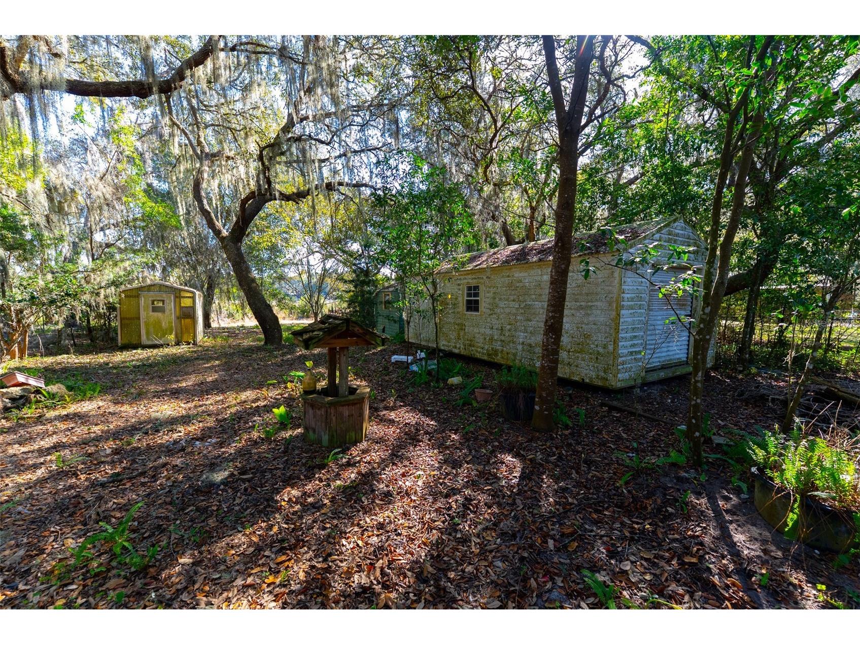 24971 NE 135th Street Salt Springs FL 32134 OM716655 image32