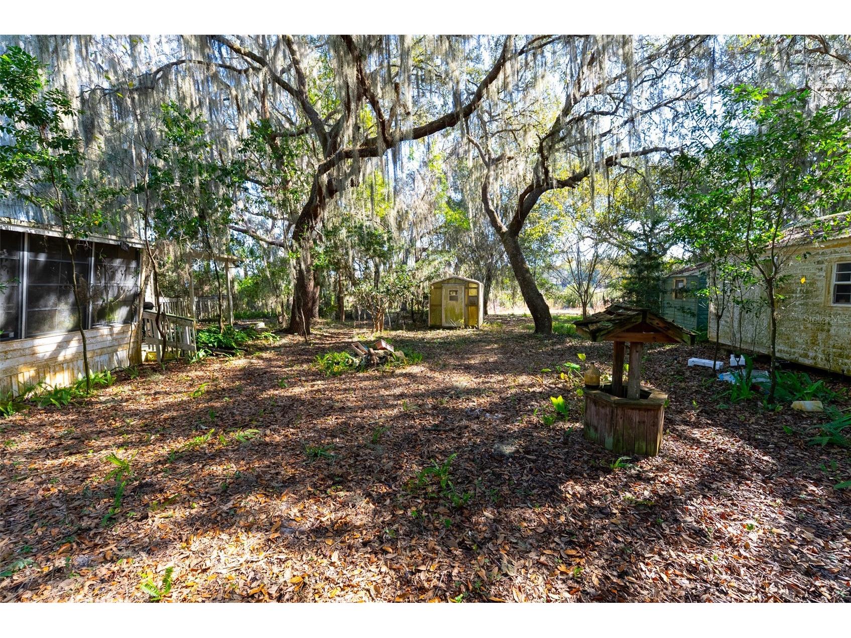 24971 NE 135th Street Salt Springs FL 32134 OM716655 image33