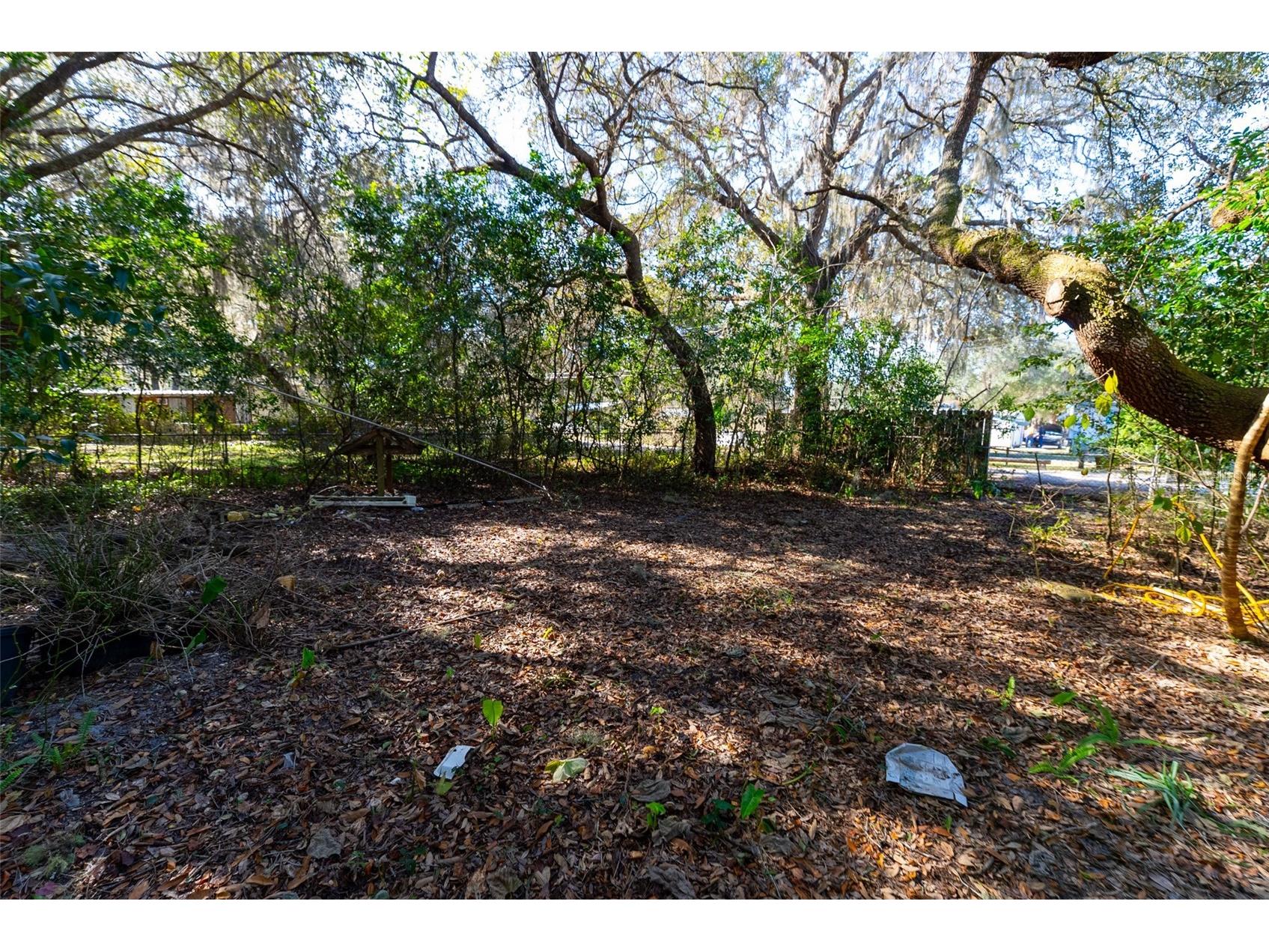 24971 NE 135th Street Salt Springs FL 32134 OM716655 image35