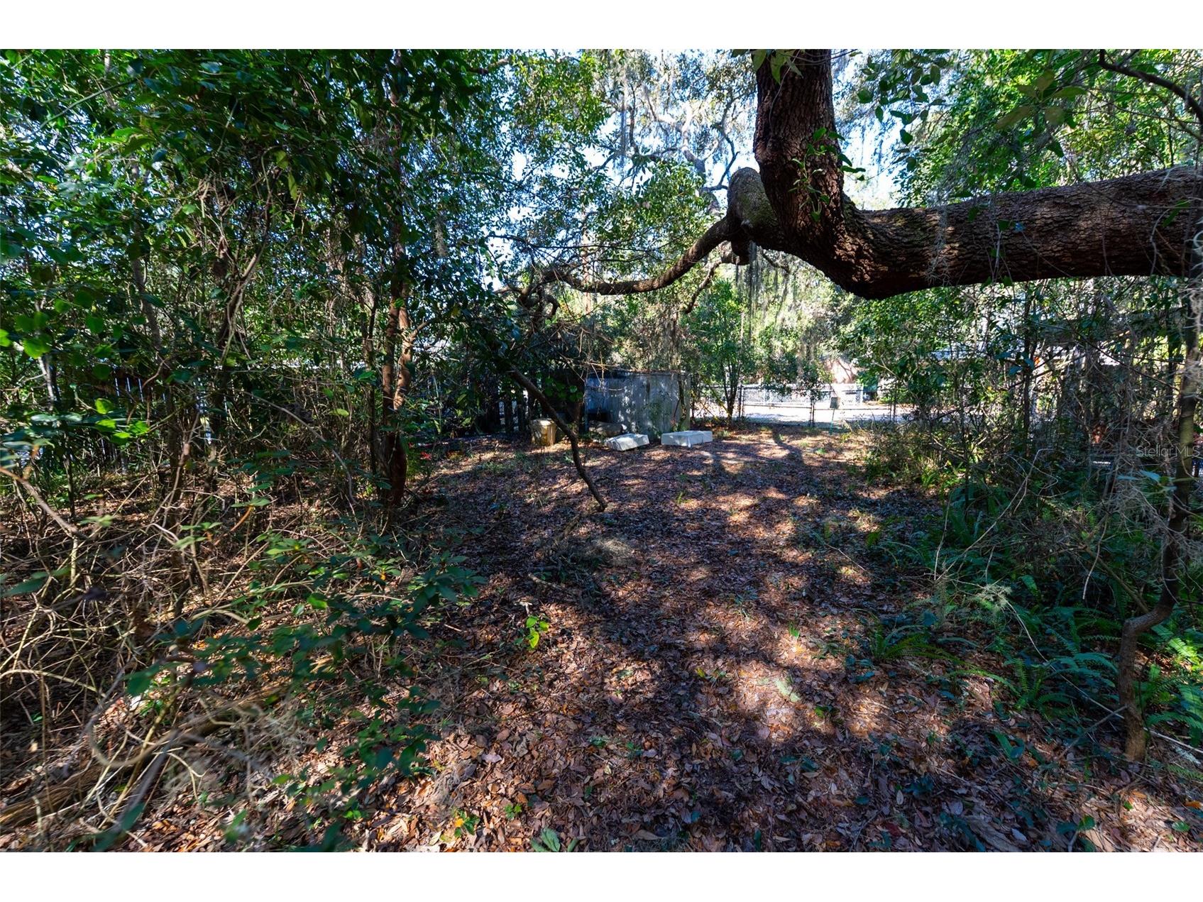 24971 NE 135th Street Salt Springs FL 32134 OM716655 image36