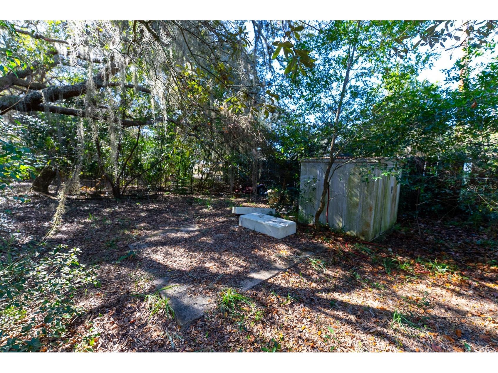24971 NE 135th Street Salt Springs FL 32134 OM716655 image37