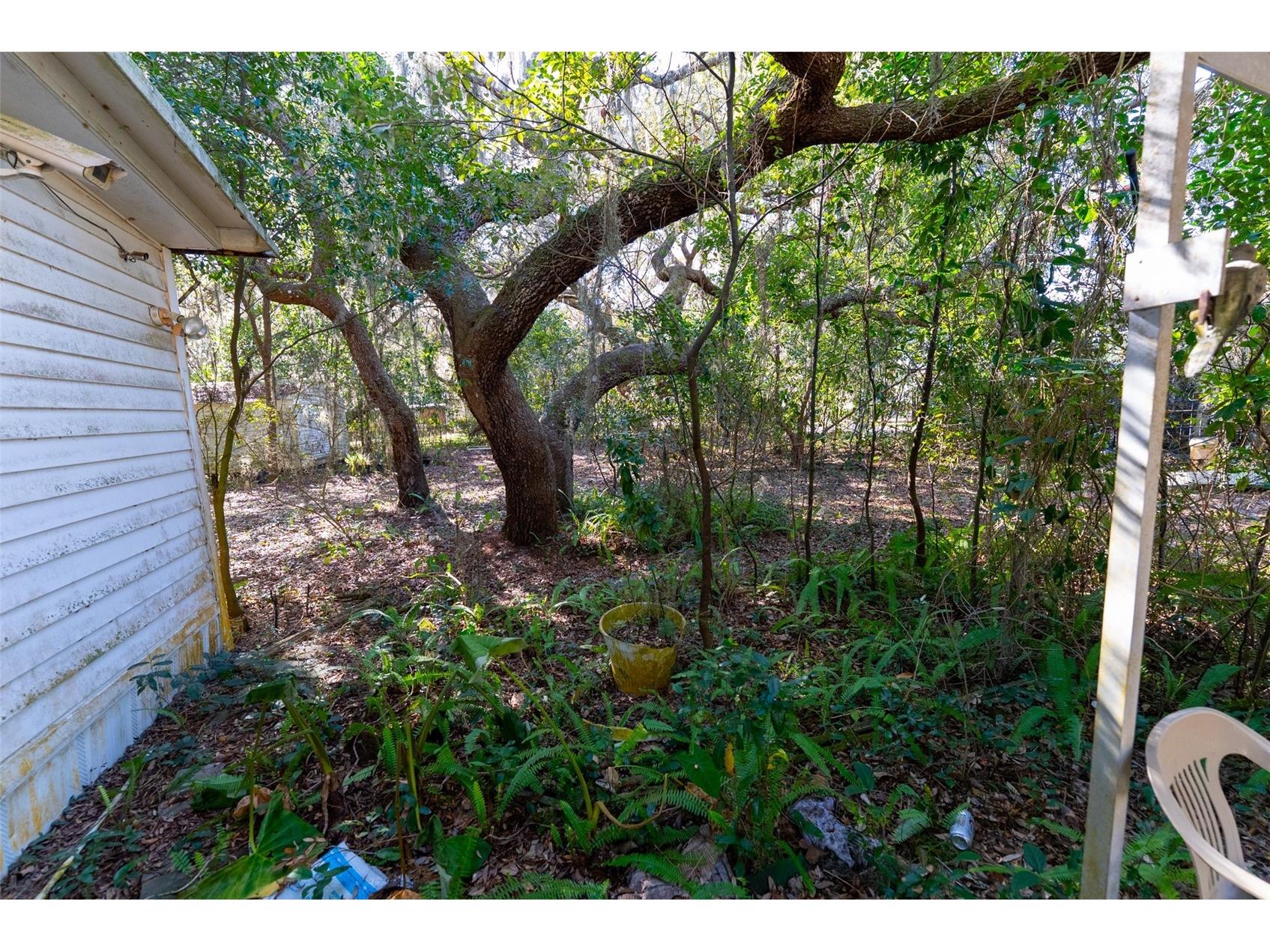 24971 NE 135th Street Salt Springs FL 32134 OM716655 image38
