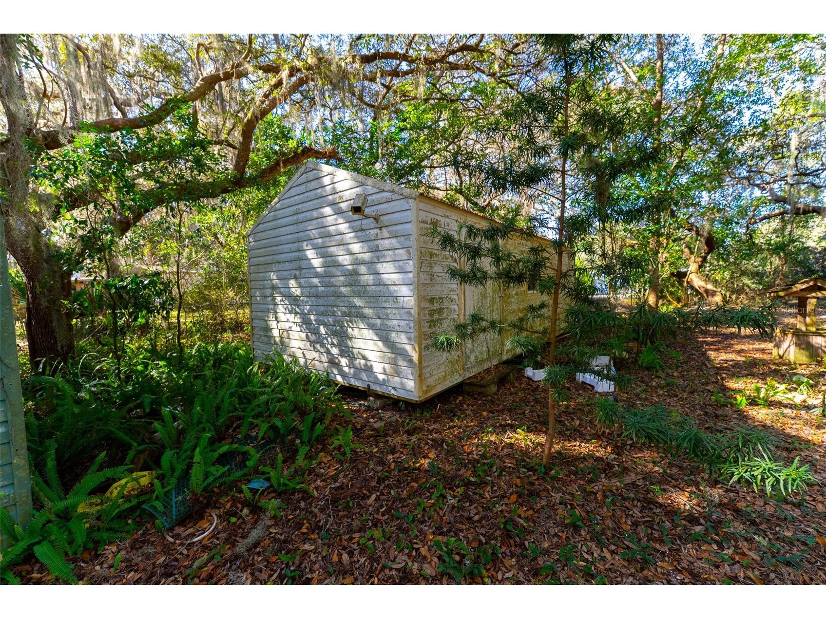 24971 NE 135th Street Salt Springs FL 32134 OM716655 image4