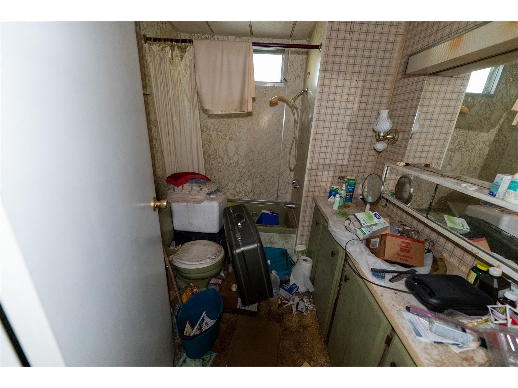 24971 NE 135th Street Salt Springs FL 32134 OM716655 image41