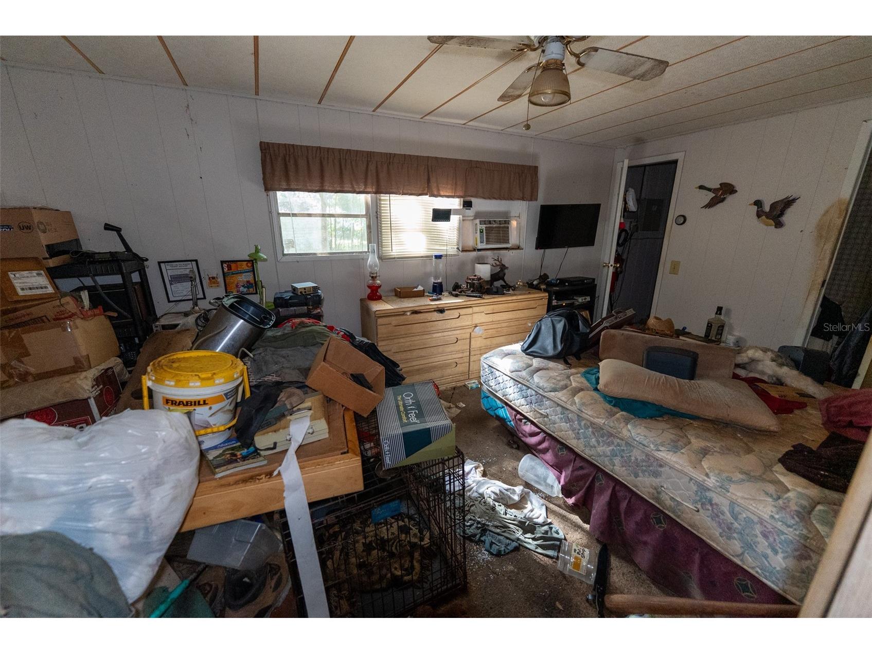 24971 NE 135th Street Salt Springs FL 32134 OM716655 image42