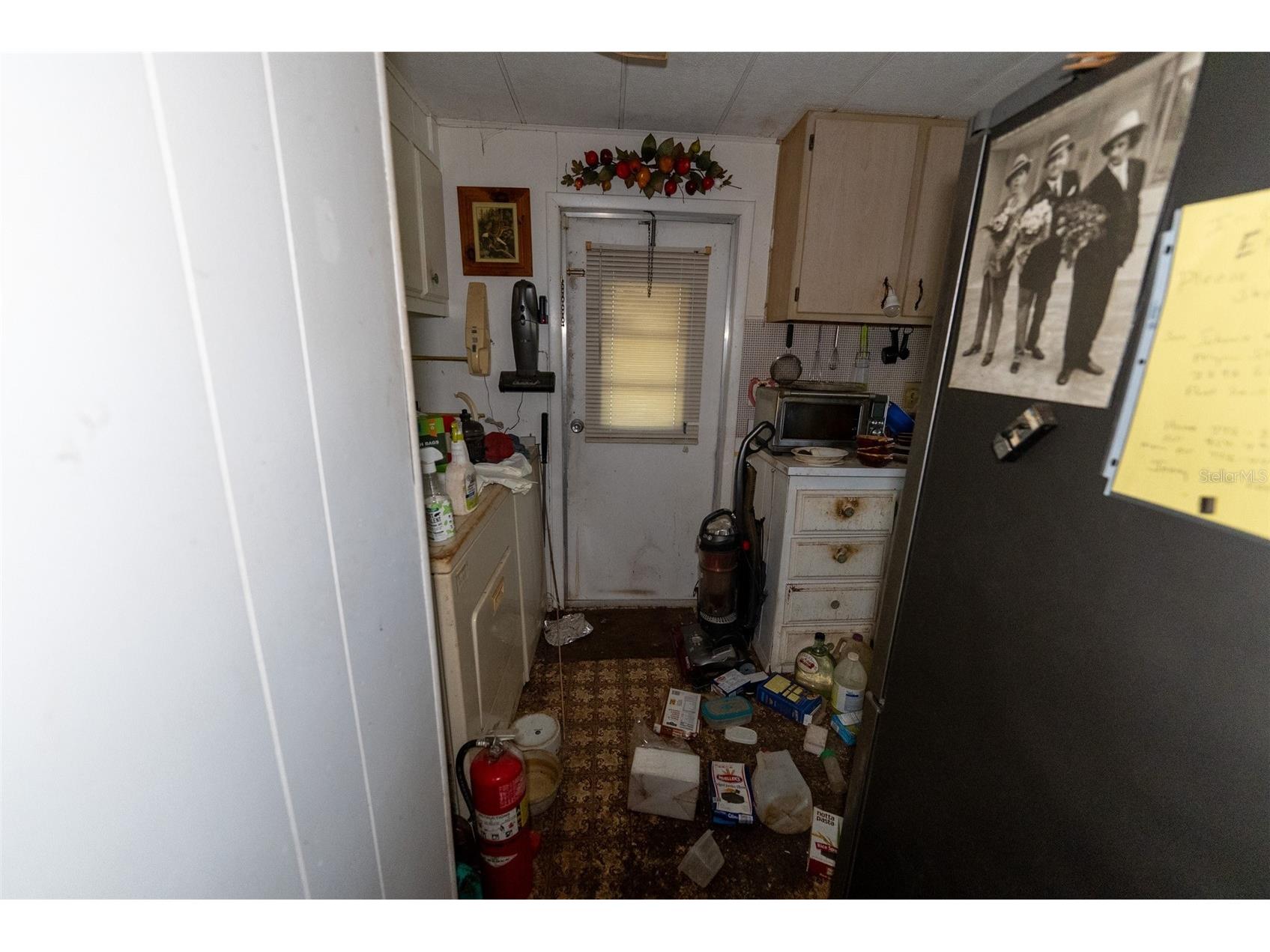 24971 NE 135th Street Salt Springs FL 32134 OM716655 image43