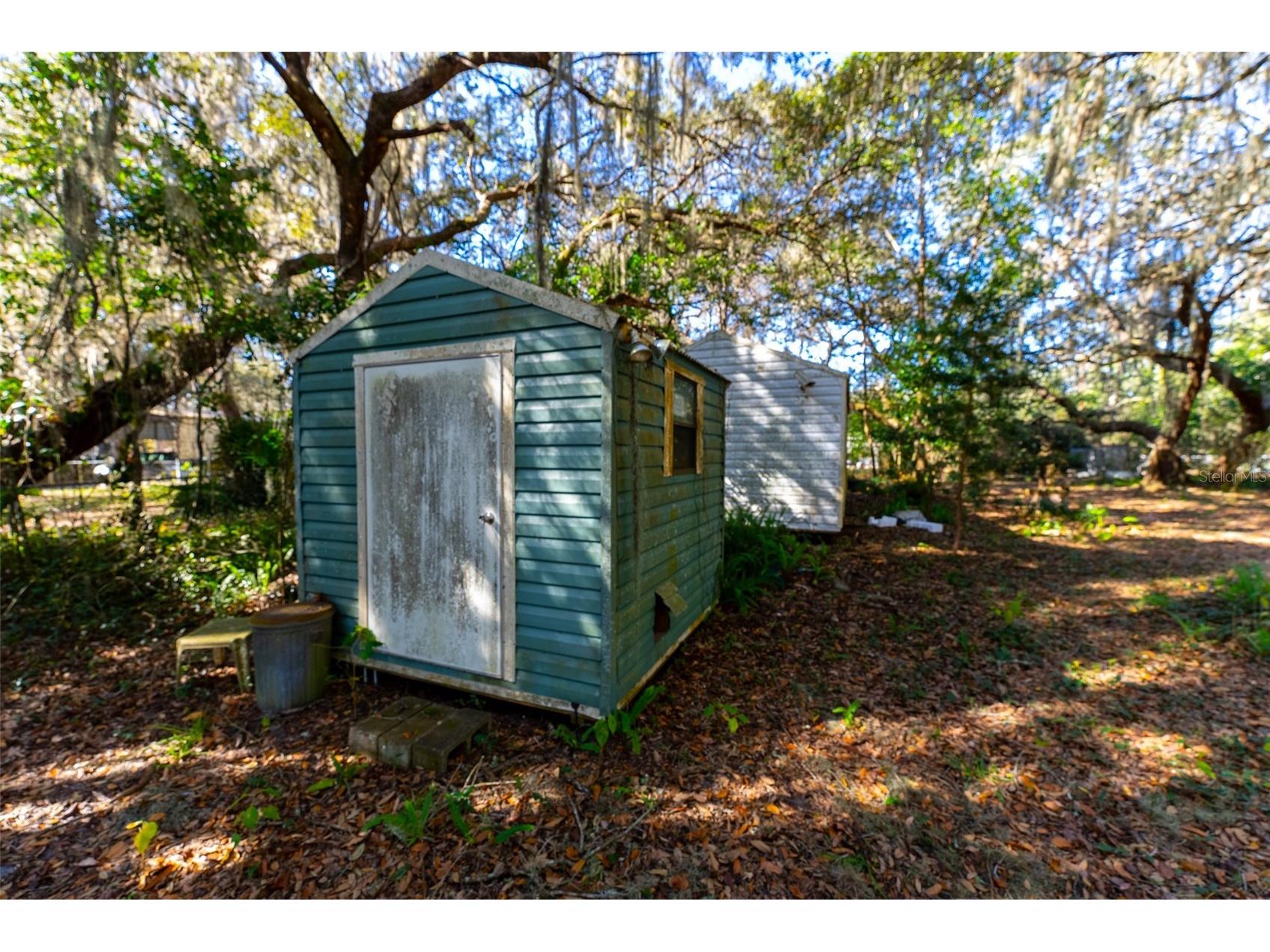 24971 NE 135th Street Salt Springs FL 32134 OM716655 image5