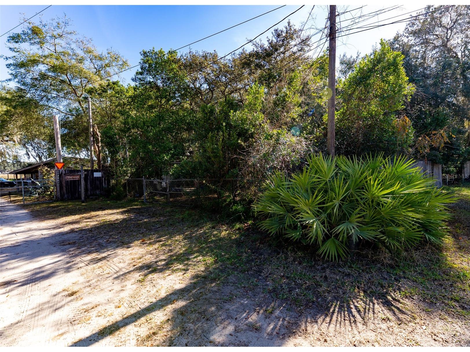 24971 NE 135th Street Salt Springs FL 32134 OM716655 image54