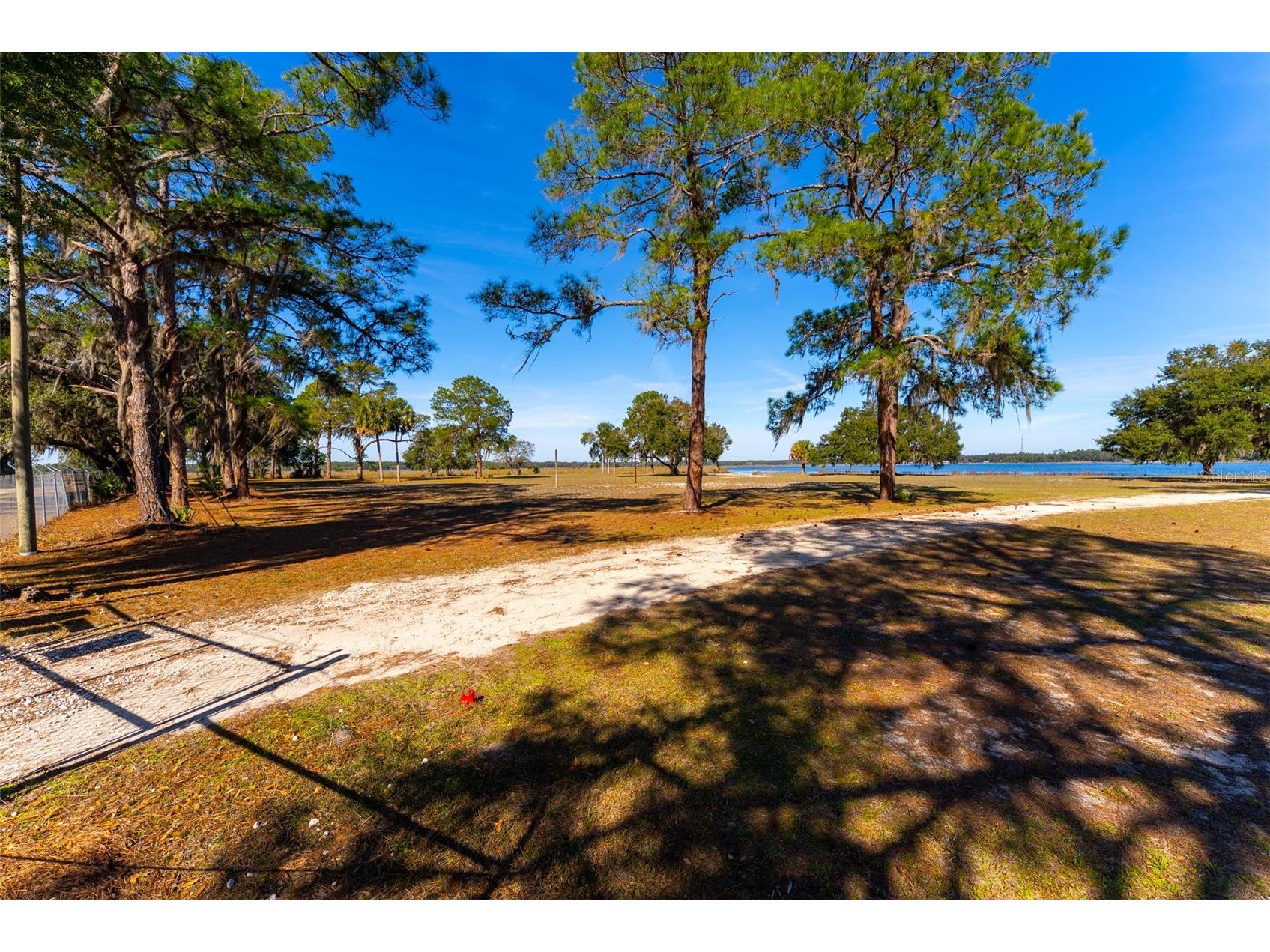 24971 NE 135th Street Salt Springs FL 32134 OM716655 image55