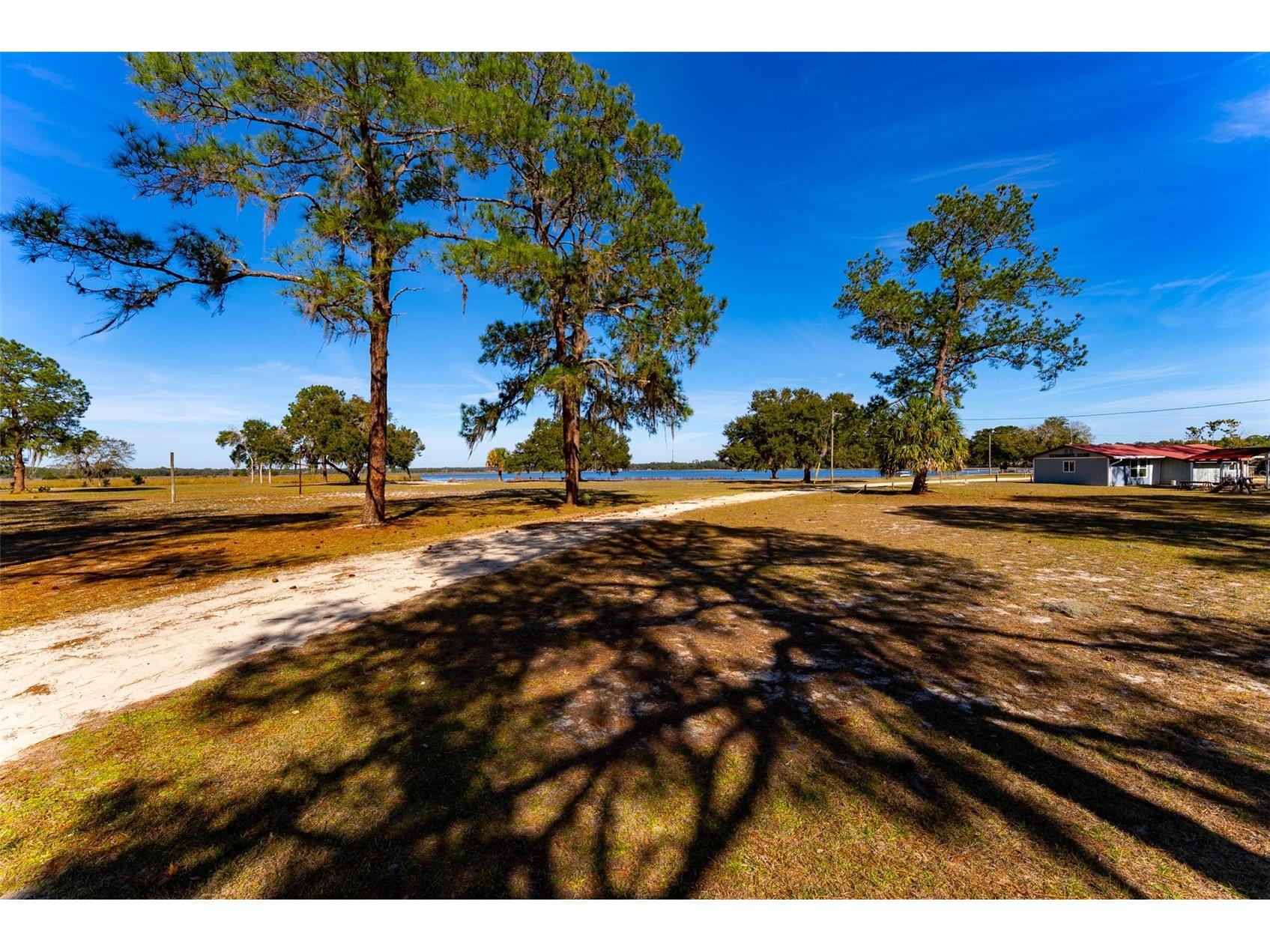 24971 NE 135th Street Salt Springs FL 32134 OM716655 image56