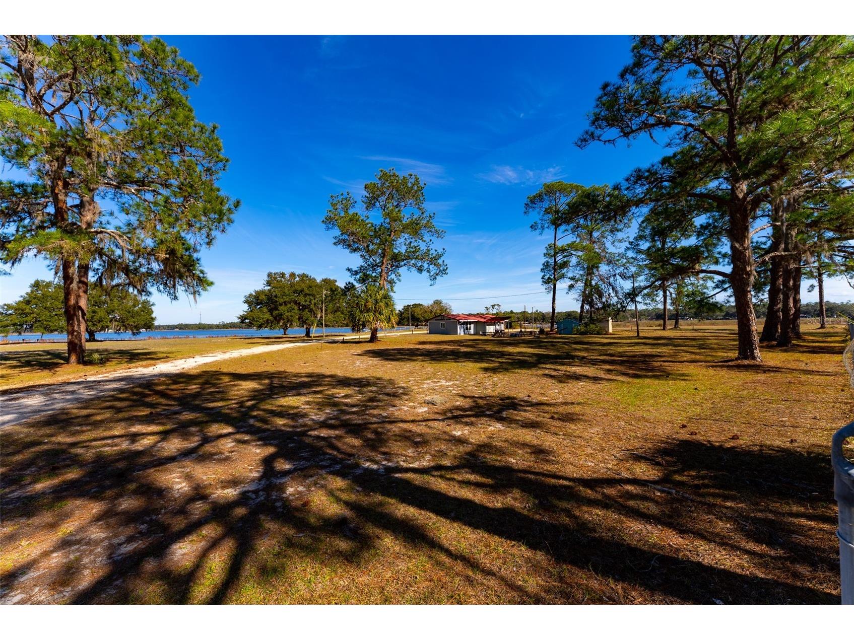 24971 NE 135th Street Salt Springs FL 32134 OM716655 image57