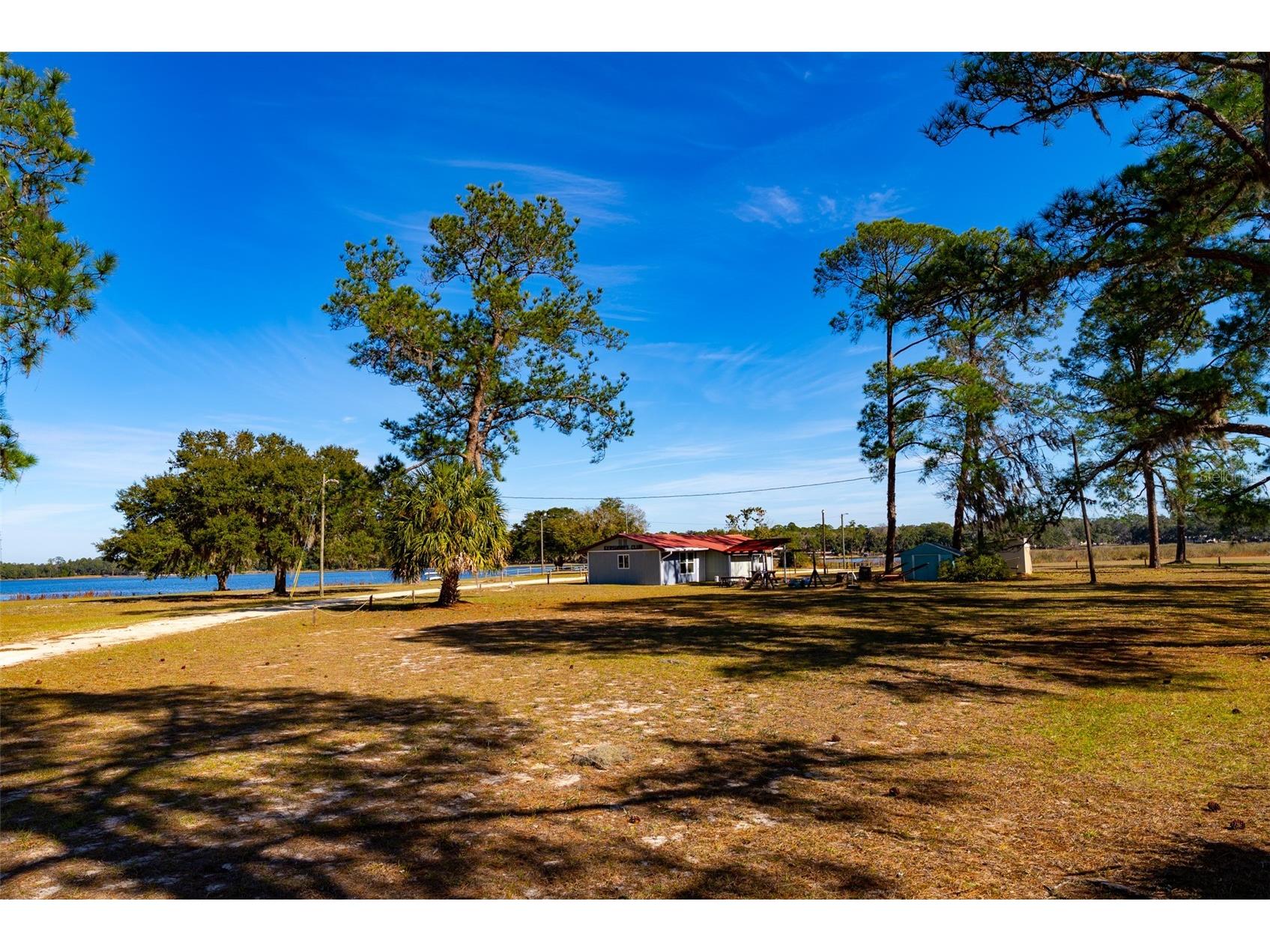 24971 NE 135th Street Salt Springs FL 32134 OM716655 image58