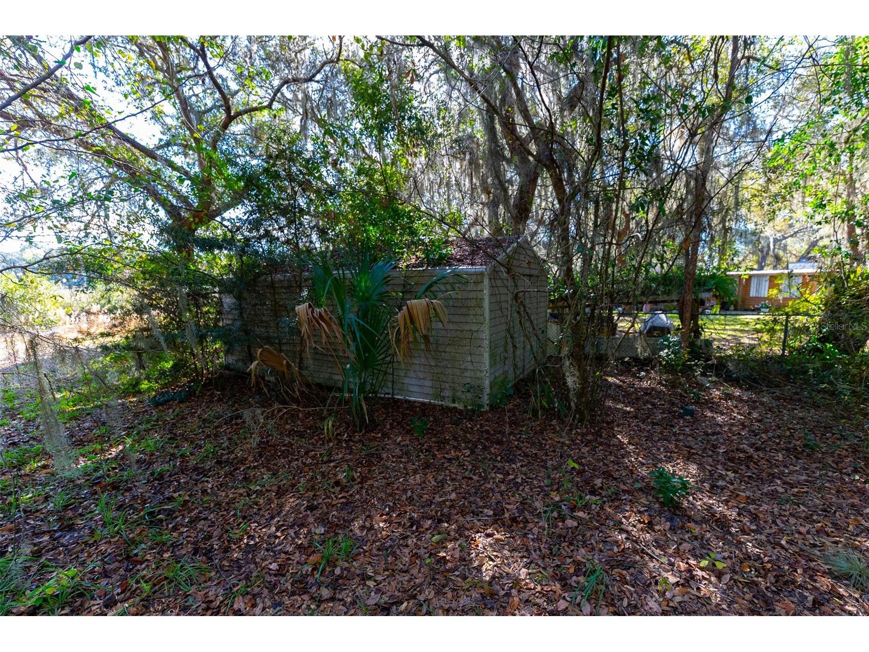 24971 NE 135th Street Salt Springs FL 32134 OM716655 image6