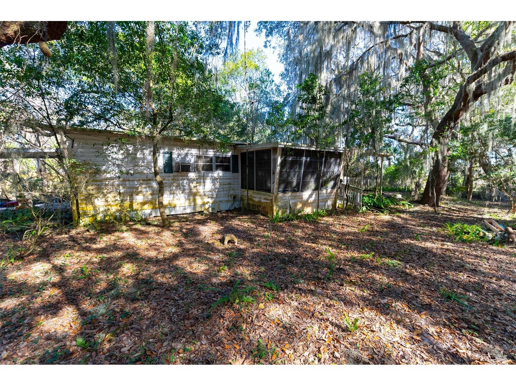 24971 NE 135th Street Salt Springs FL 32134 OM716655 image7