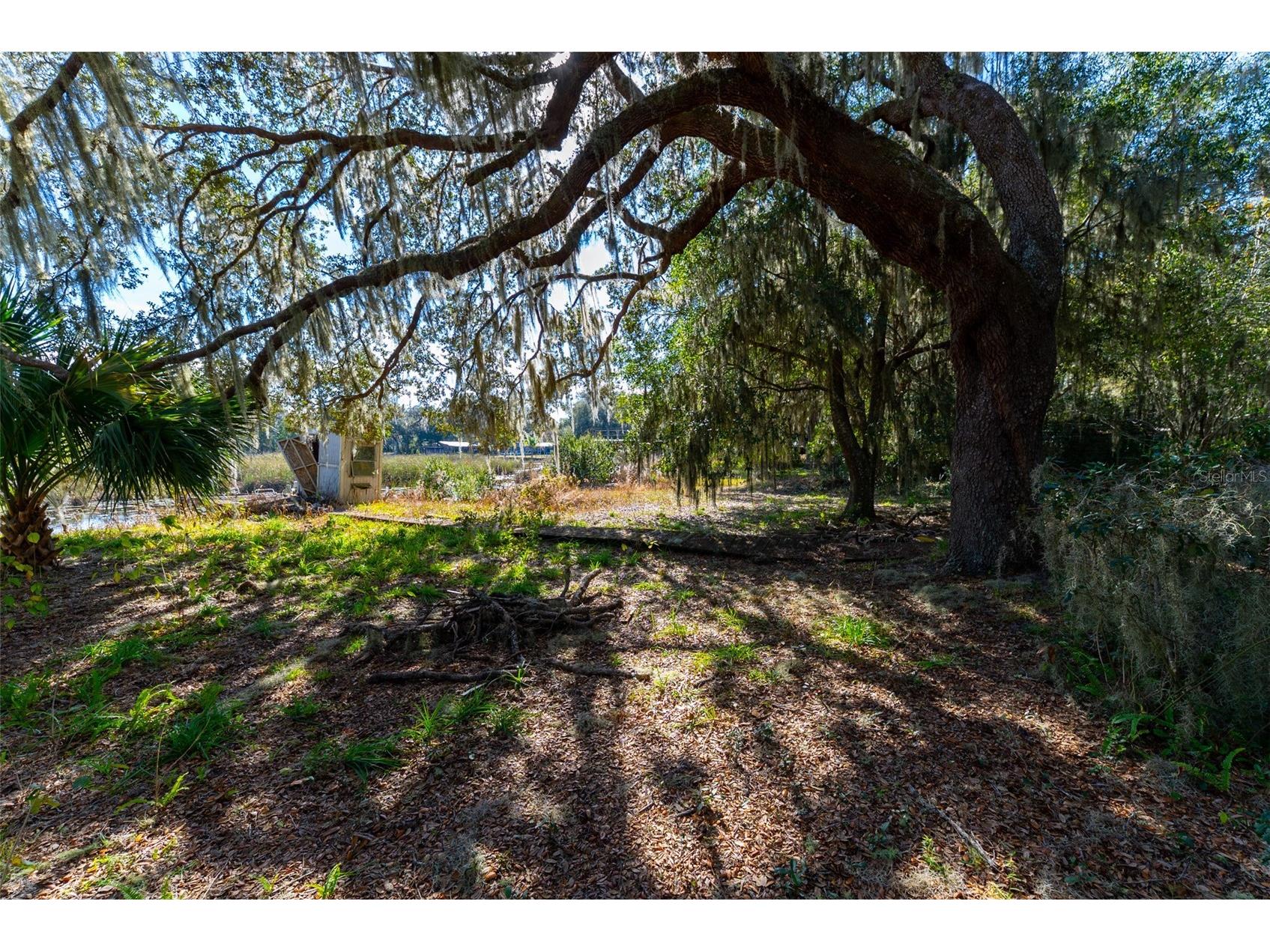 24971 NE 135th Street Salt Springs FL 32134 OM716655 image9