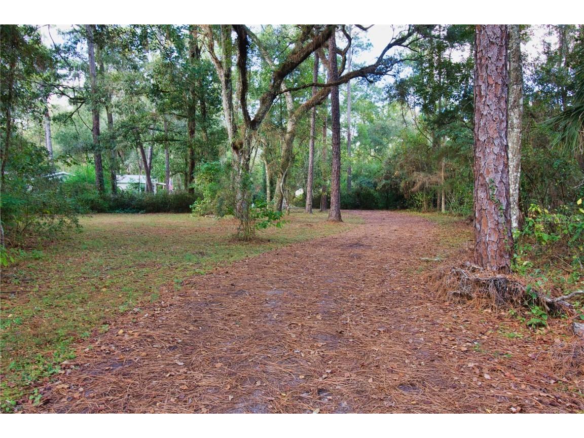 2498 Saturn Road Brooksville FL 34604 TB8447100 image22