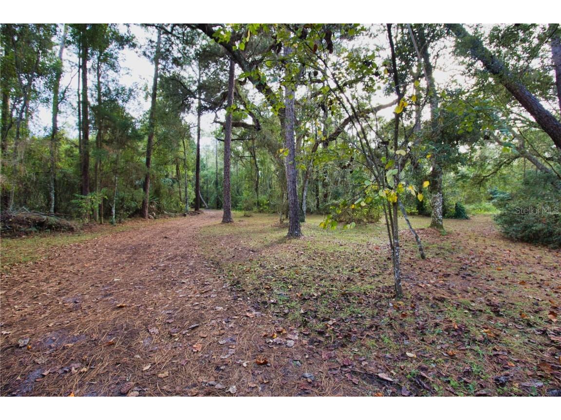 2498 Saturn Road Brooksville FL 34604 TB8447100 image24