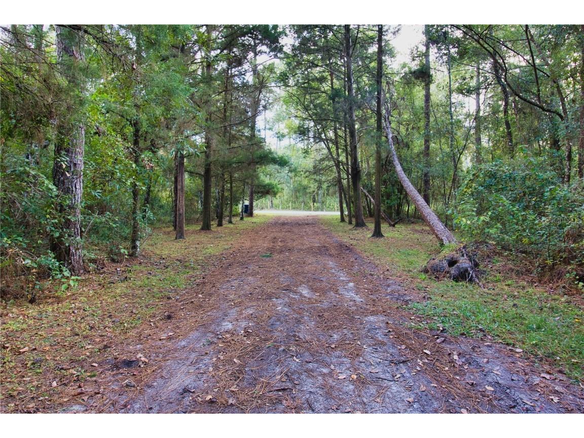 2498 Saturn Road Brooksville FL 34604 TB8447100 image25