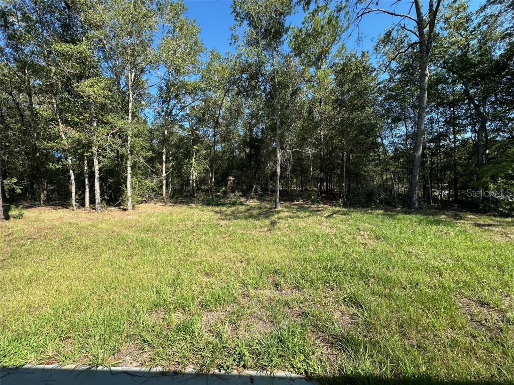 2498 W Magenta Drive Citrus Springs FL 34434 OM714117 image28