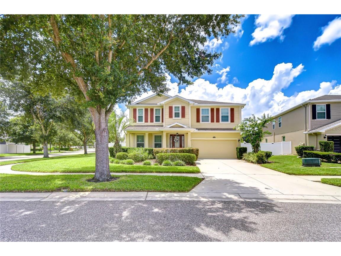 2499 Calvano Drive Land O Lakes FL 34639 TB8408915 image1