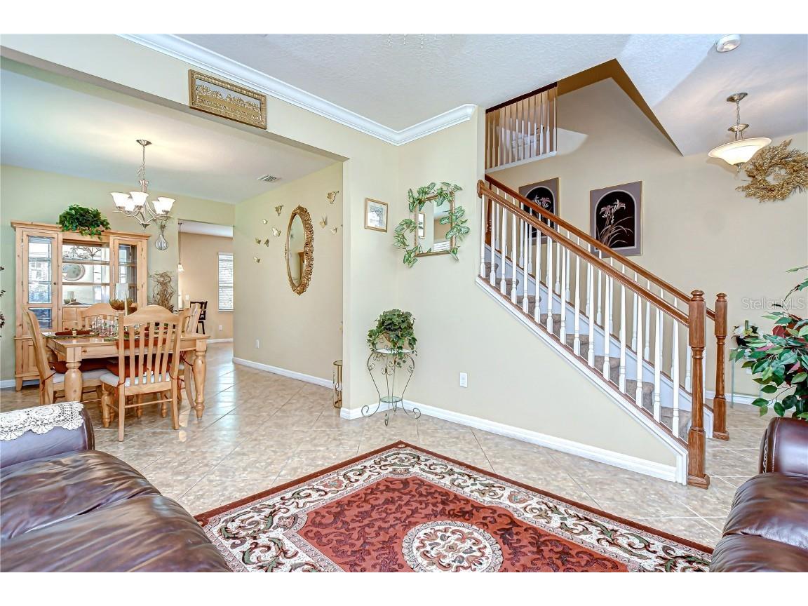 2499 Calvano Drive Land O Lakes FL 34639 TB8408915 image10