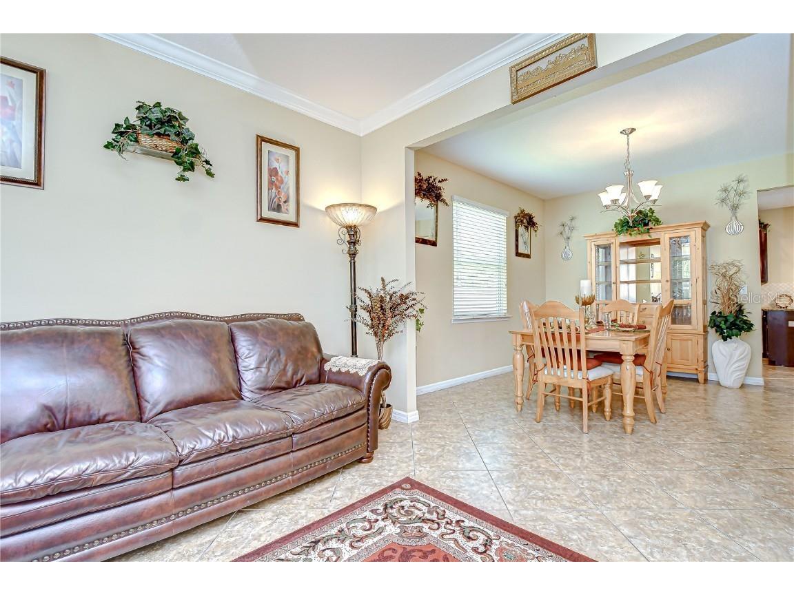 2499 Calvano Drive Land O Lakes FL 34639 TB8408915 image11